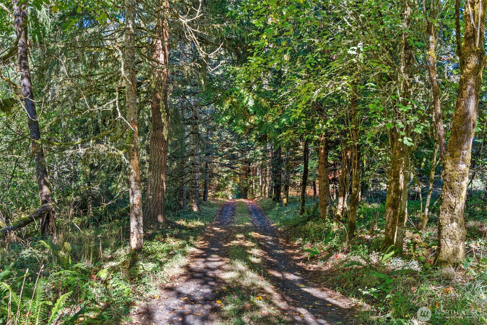 299 Conrad Road Winlock, WA 98596 - Photo 34 of 40 a backyard of a house with lots of green space and a fountain