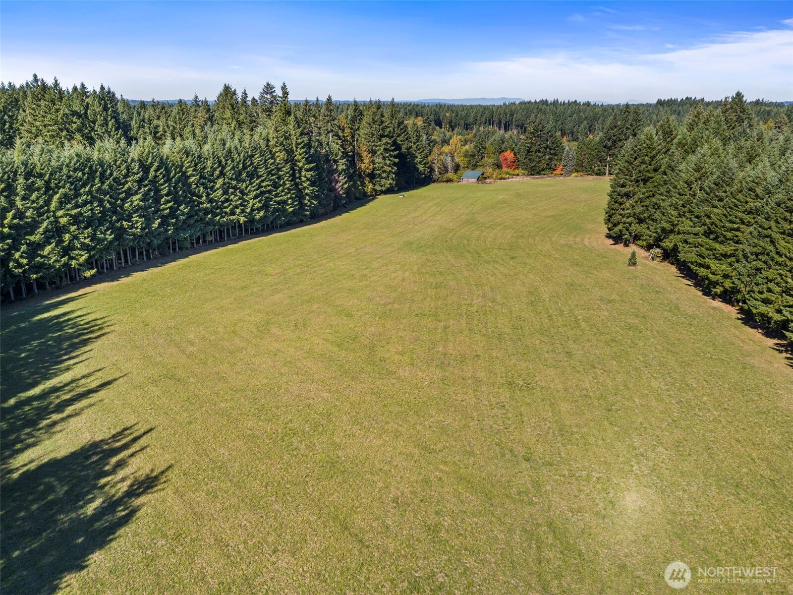 299 Conrad Road Winlock, WA 98596 - Photo 37 of 40 a view of a yard and an ocean view