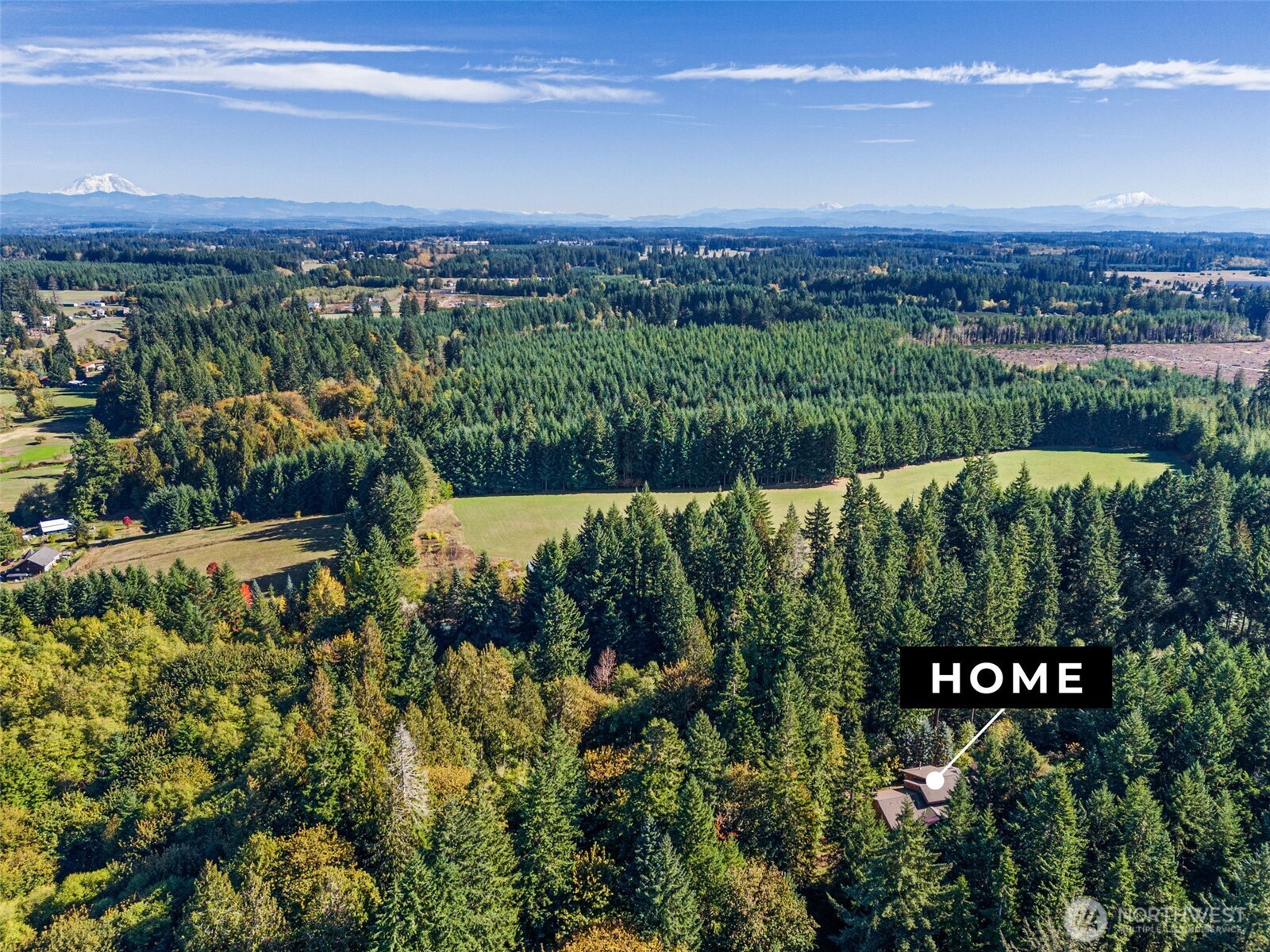 299 Conrad Road Winlock, WA 98596 - Photo 38 of 40 a view of a garden with a lake view
