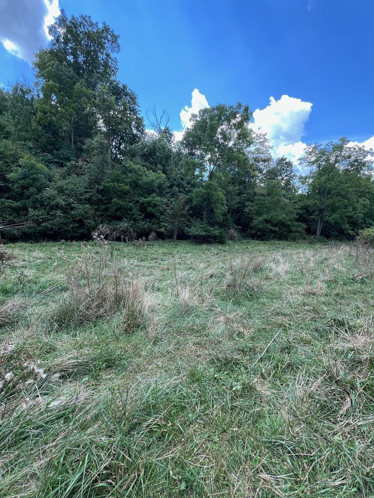 Tbd Romans Ridge Road Honaker, VA 24260 - Photo 21 of 51 Gallery Image 21