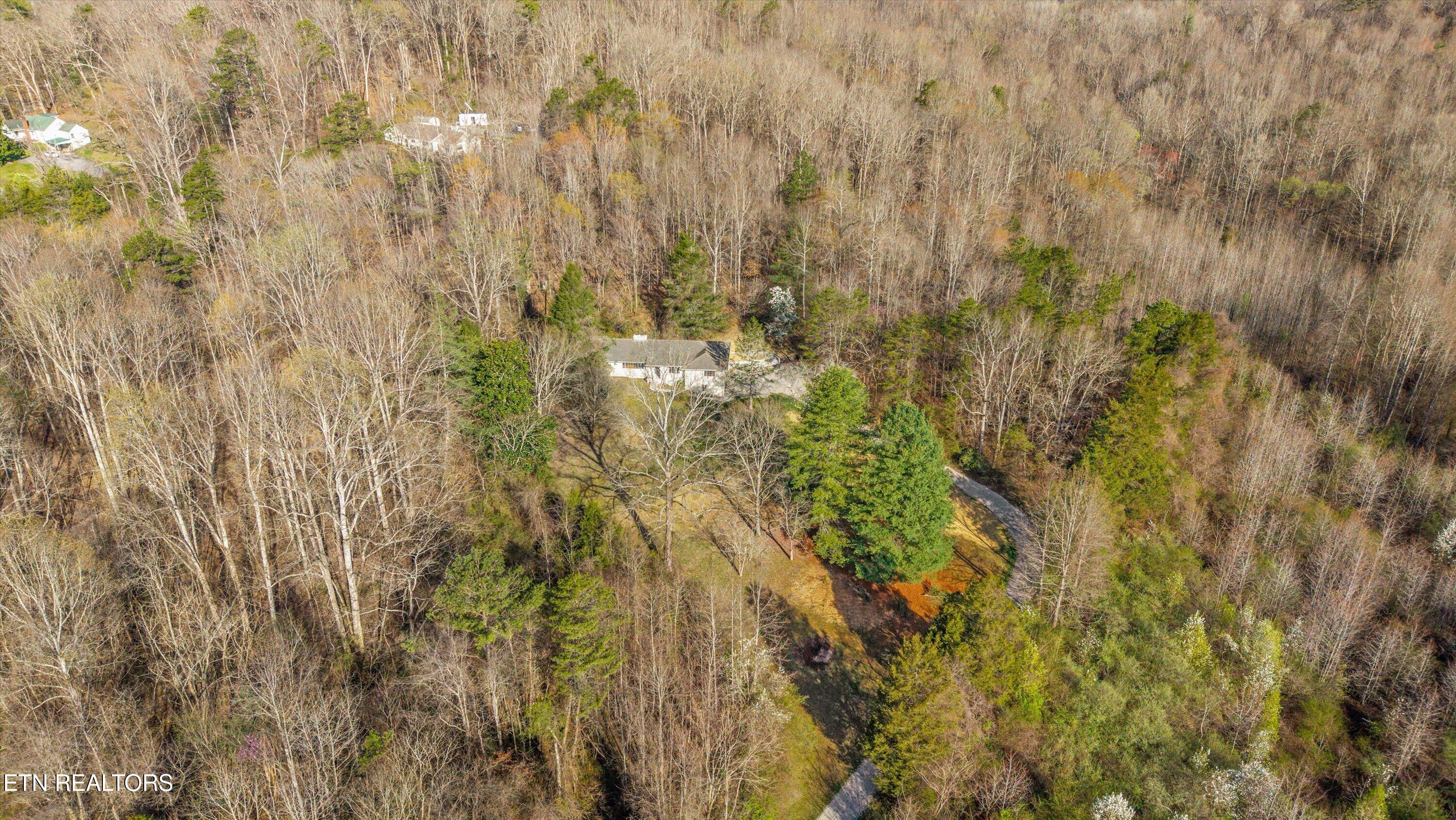683 Webster Road Harriman, TN 37748 - Photo 54 of 59 57-683 Webster Rd06