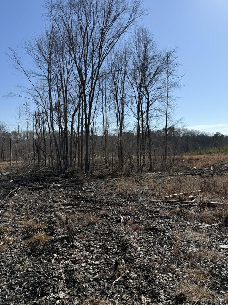 0 Armstrong 1101-2 Road Southeast Cleveland, TN 37323 - Photo 4 of 10 94A19F70-CFB2-4191-9CCE-EF522CA8C895_1_1