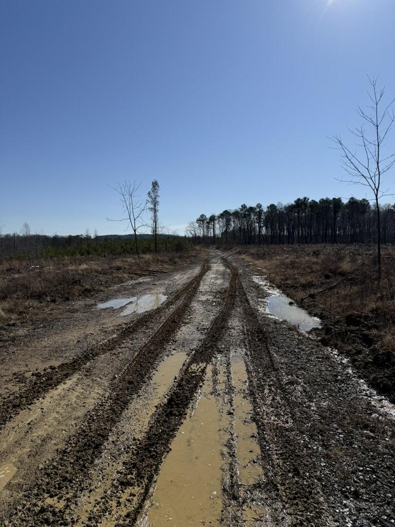0 Armstrong 1101-2 Road Southeast Cleveland, TN 37323 - Photo 5 of 10 4E208DCC-EBDE-4B03-A581-65DFE9E056FE_1_1