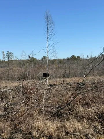 $658,000 | 0 Armstrong 1101-2 Road Southeast, Cleveland, TN 37323