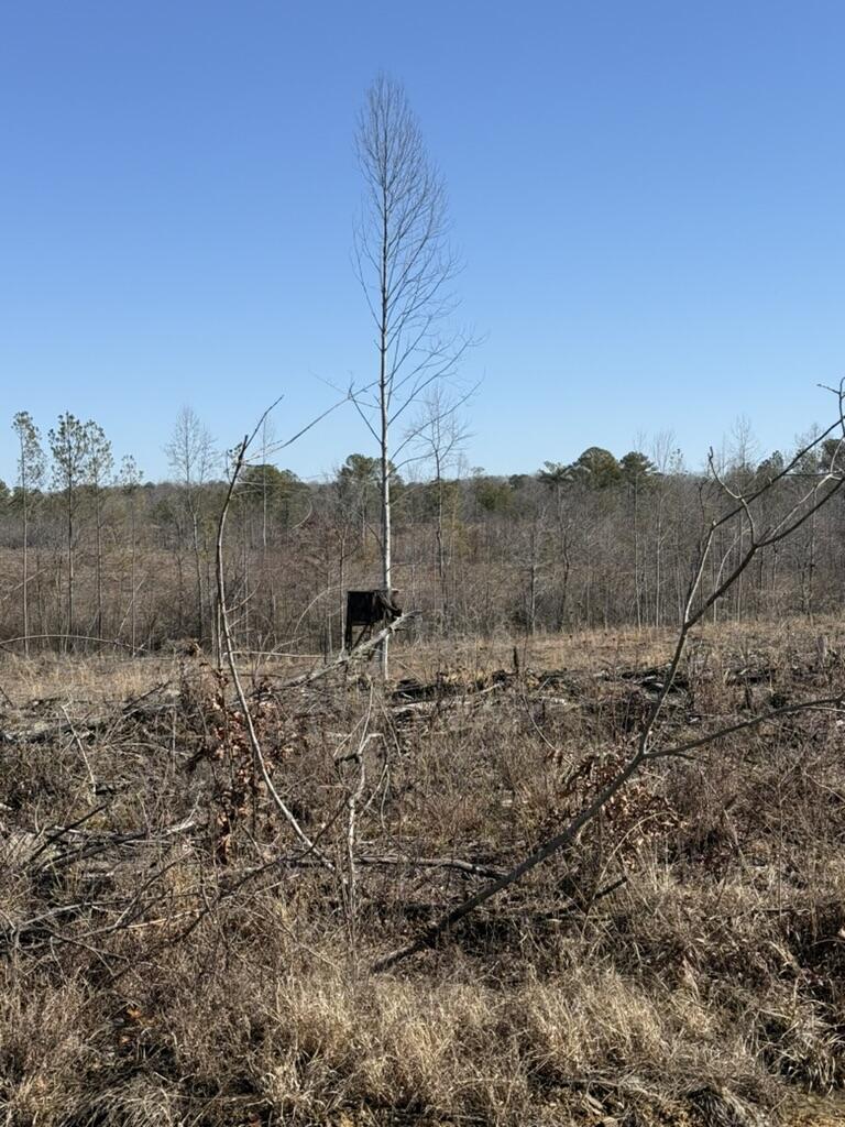 0 Armstrong 1101-2 Road Southeast Cleveland, TN 37323 - Photo 6 of 10 8237F0E5-36F9-4DE9-B1ED-AEBC23C35C63_1_1
