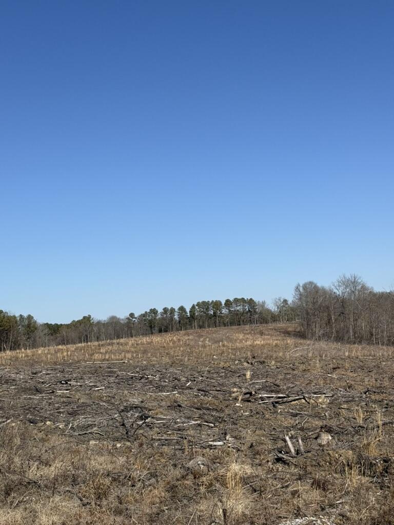0 Armstrong 1101-2 Road Southeast Cleveland, TN 37323 - Photo 7 of 10 8EB7C92D-7ACA-4E63-8FDE-AE90BC1B417F_1_1