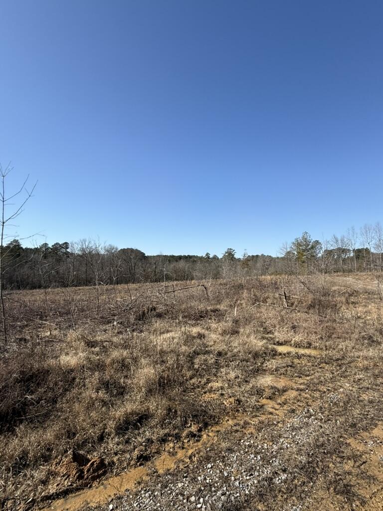 0 Armstrong 1101-2 Road Southeast Cleveland, TN 37323 - Photo 10 of 10 EF1FFC89-BABF-4B21-9A49-58C8DF747A7D_1_1