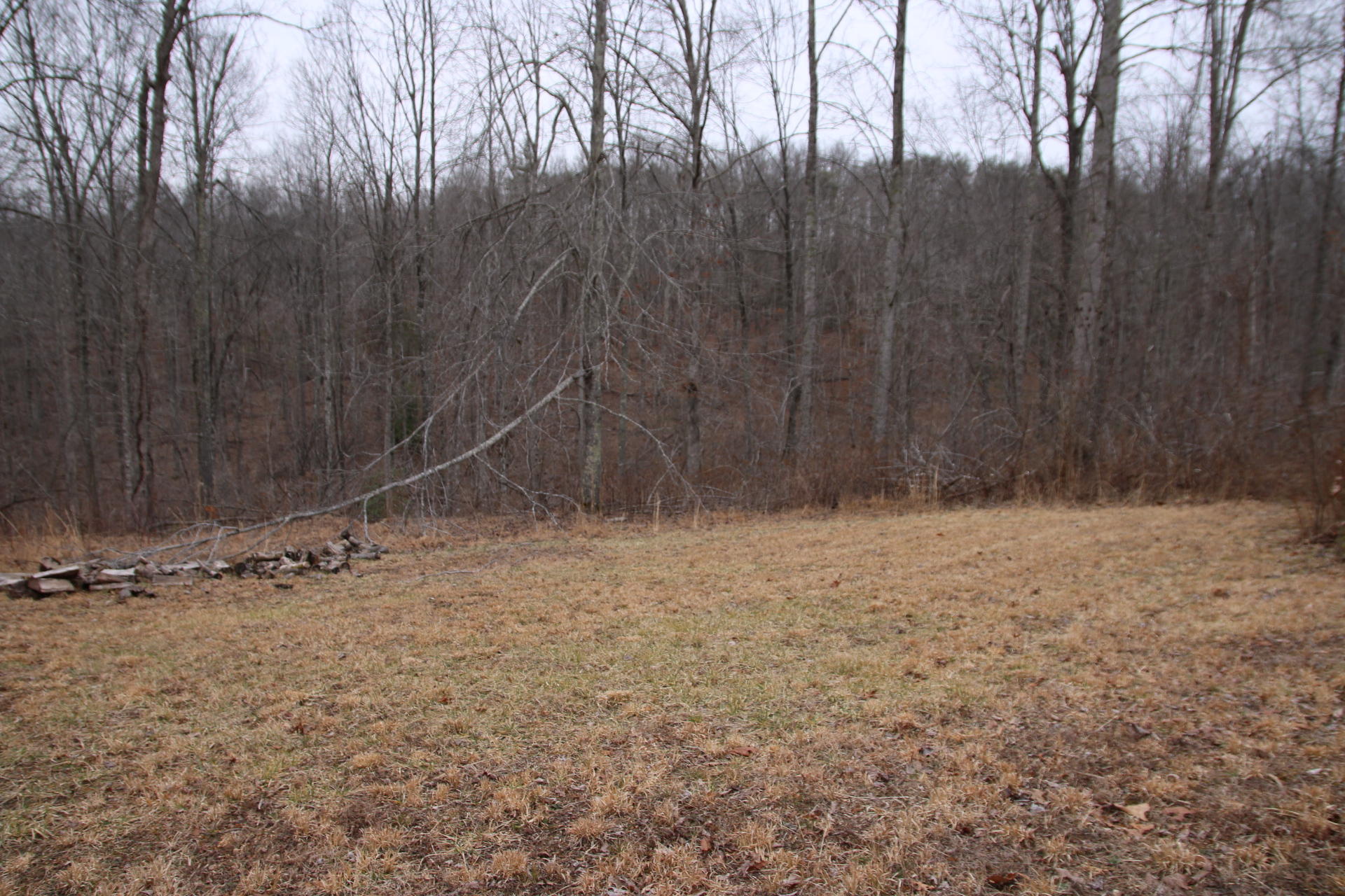 756 Claysville Road Crossville, TN 38571 - Photo 21 of 24 17 Yard
