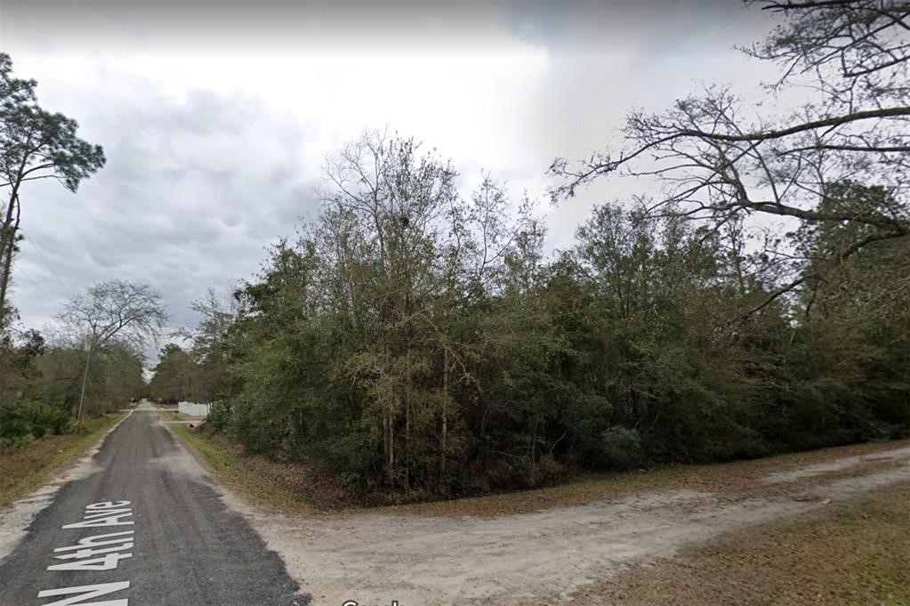 0 West 4th Avenue Hilliard, FL 32046 - Photo 4 of 6 a view of outdoor space and yard