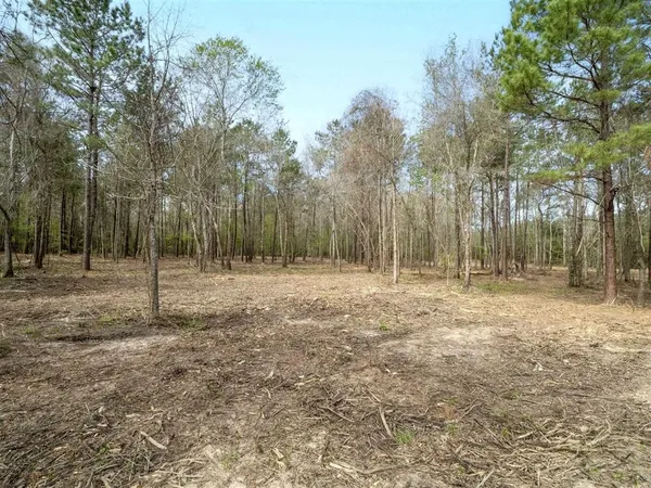 $115,000 | Tbd Jarrell Loop, Evans, LA 70639