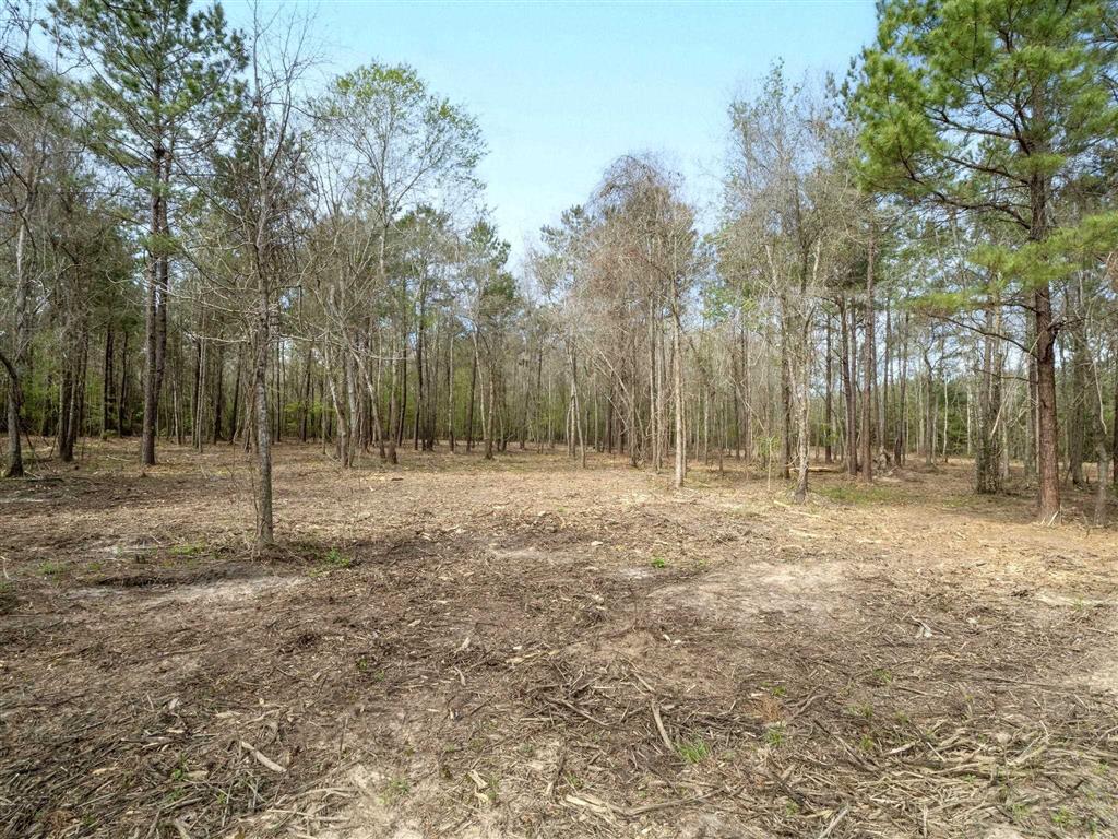 Tbd Jarrell Loop Evans, LA 70639 - Photo 1 of 12