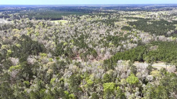 $115,000 | Tbd Jarrell Loop, Evans, LA 70639