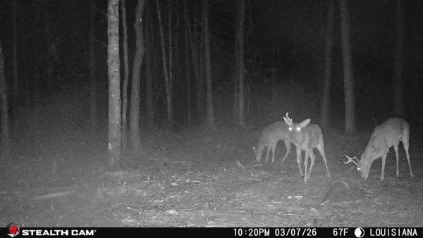 $115,000 | Tbd Jarrell Loop, Evans, LA 70639