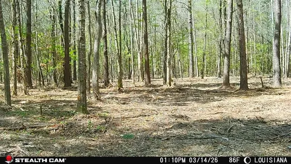 $115,000 | Tbd Jarrell Loop, Evans, LA 70639