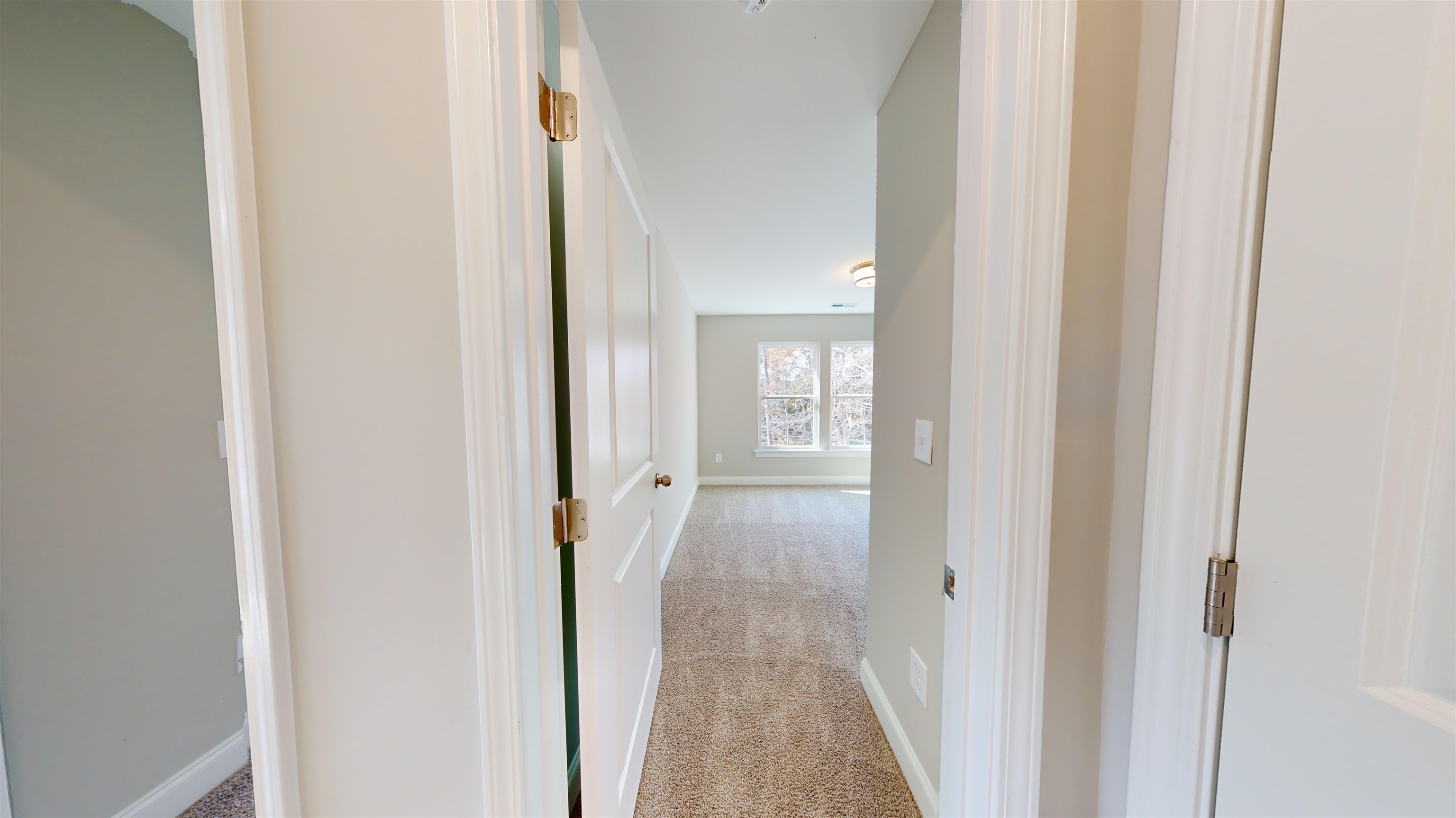 1032 Moen Loop, Unit LOT 9 Conway, SC 29526 - Photo 25 of 36 Hall with light carpet and baseboards