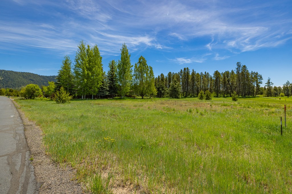 249 West Jug Road, Unit 32 McCall, ID 83638 - Photo 4 of 55
