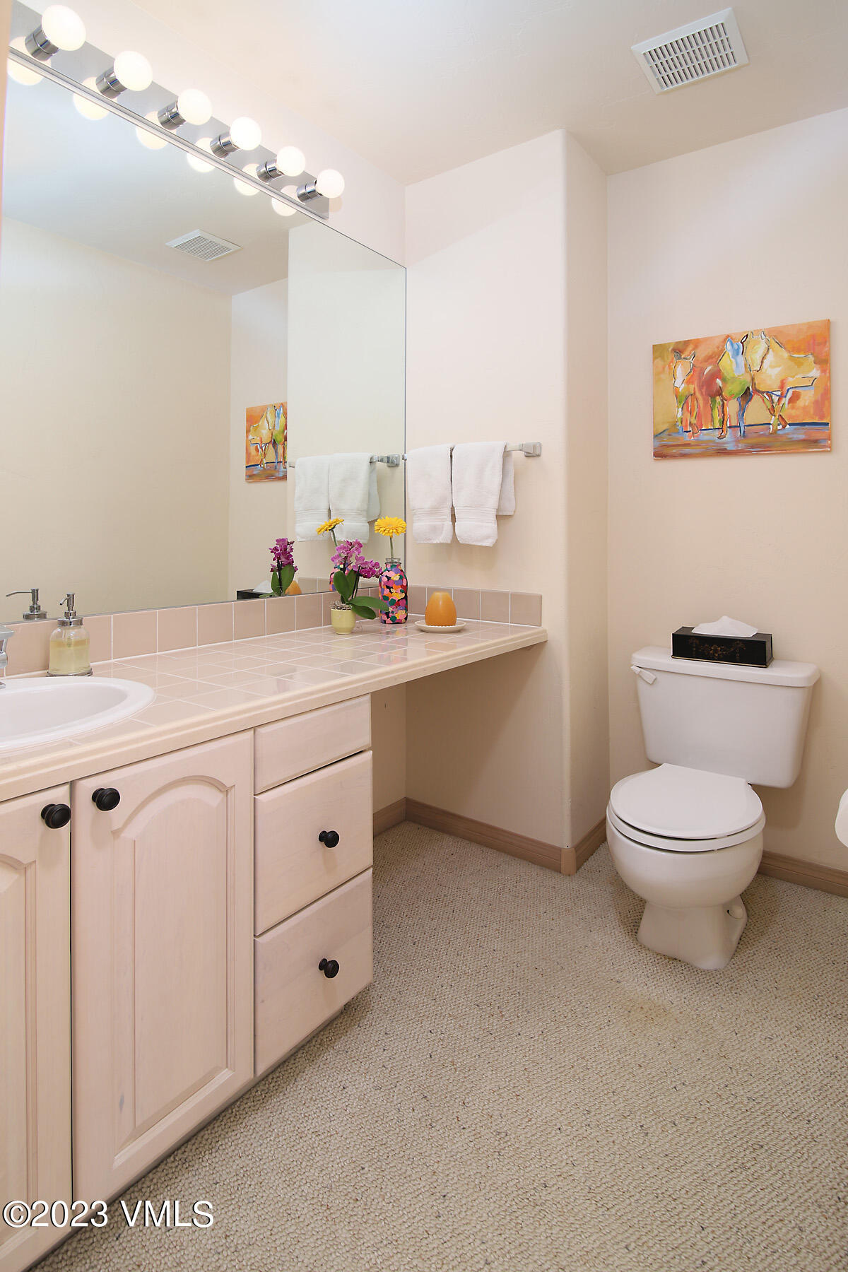 751 Singletree Road, Unit 6 Edwards, CO 81632 - Photo 13 of 30 a spacious bathroom with a toilet a sink and a mirror