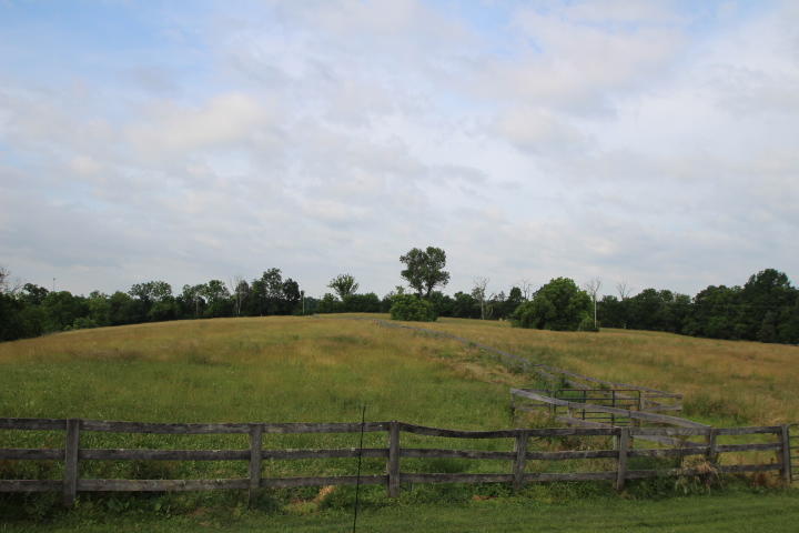 1663 Glensboro Road Lawrenceburg, KY 40342 - Photo 30 of 71 IMG_5980