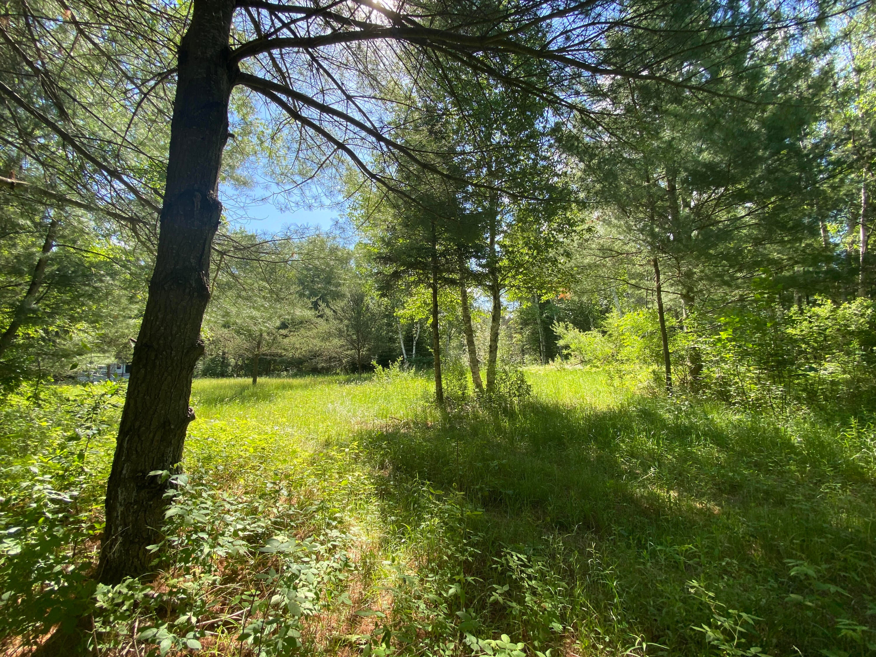 Townline Rd Road Rose City, MI 48654 - Photo 12 of 26 Gallery Image 12