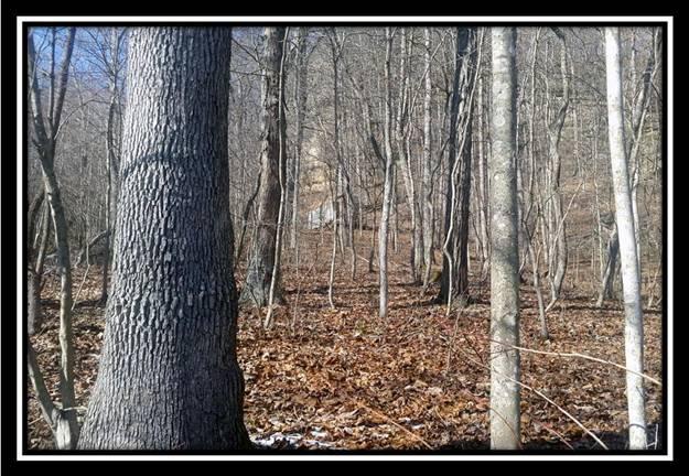0 Big Run Road Jackson, OH 45640 - Photo 2 of 8