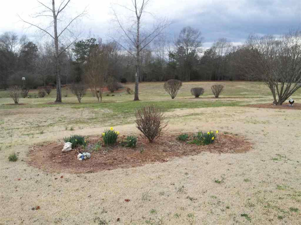 940 Shiloh Road Seneca, SC 29678 - Photo 12 of 21 Gallery Image 12
