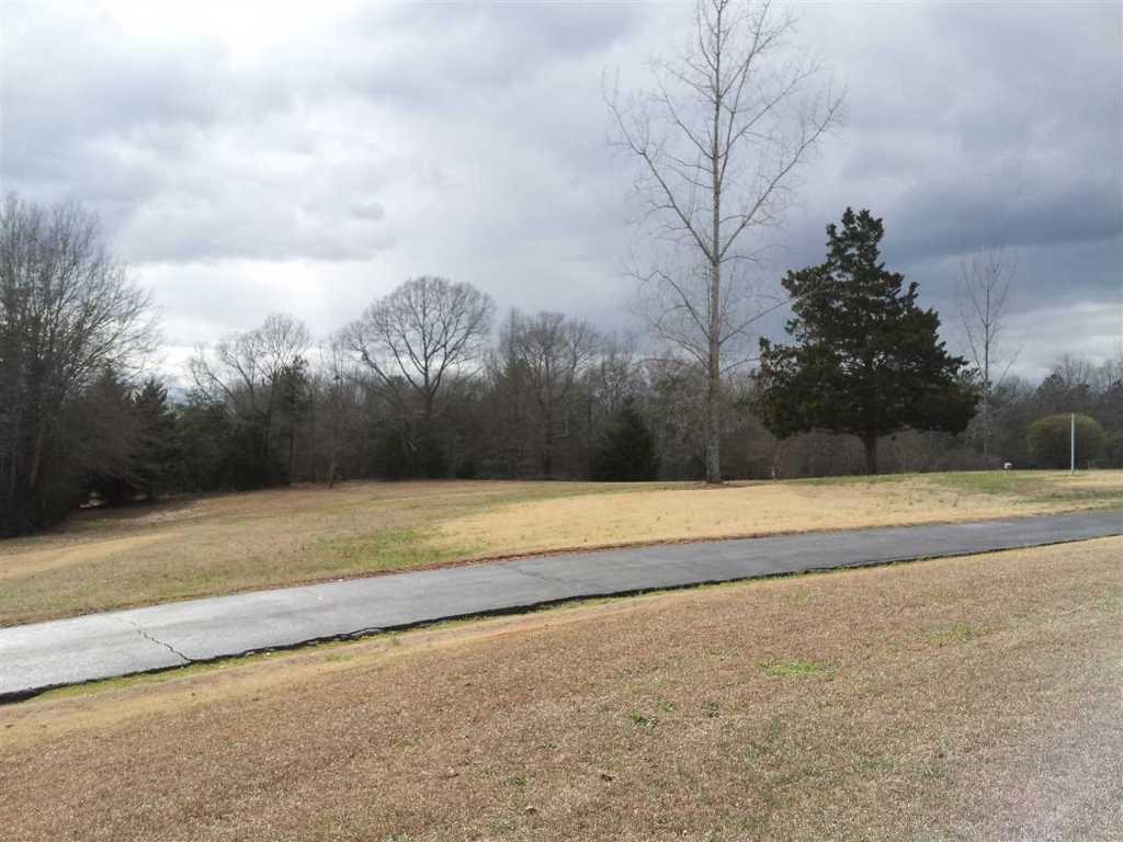940 Shiloh Road Seneca, SC 29678 - Photo 9 of 21 Gallery Image 9
