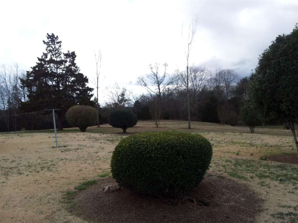 940 Shiloh Road Seneca, SC 29678 - Photo 10 of 21 Gallery Image 10