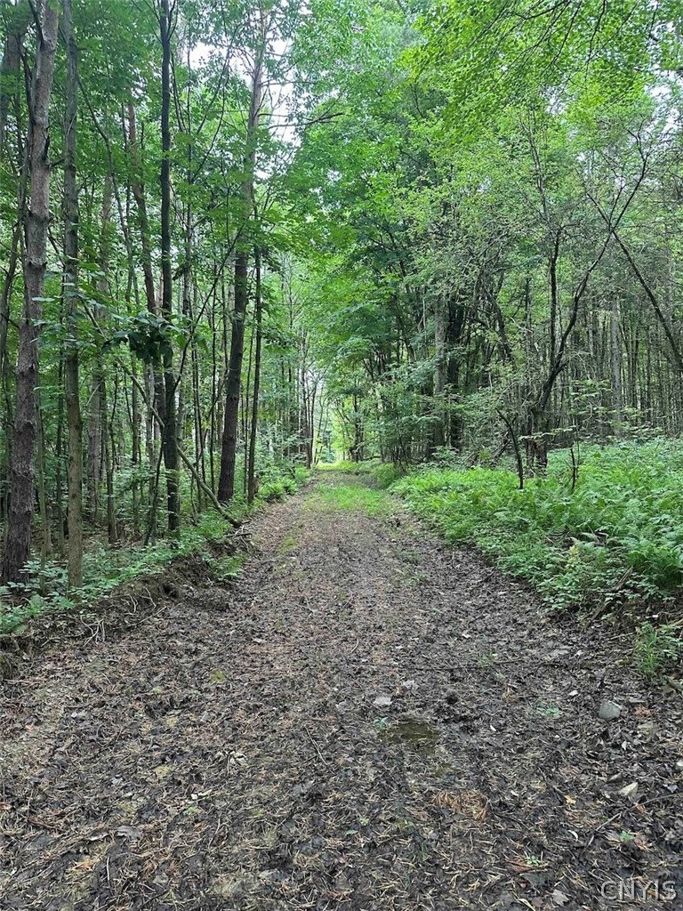 1501 Old State Road Colesville, NY 13833 - Photo 26 of 28