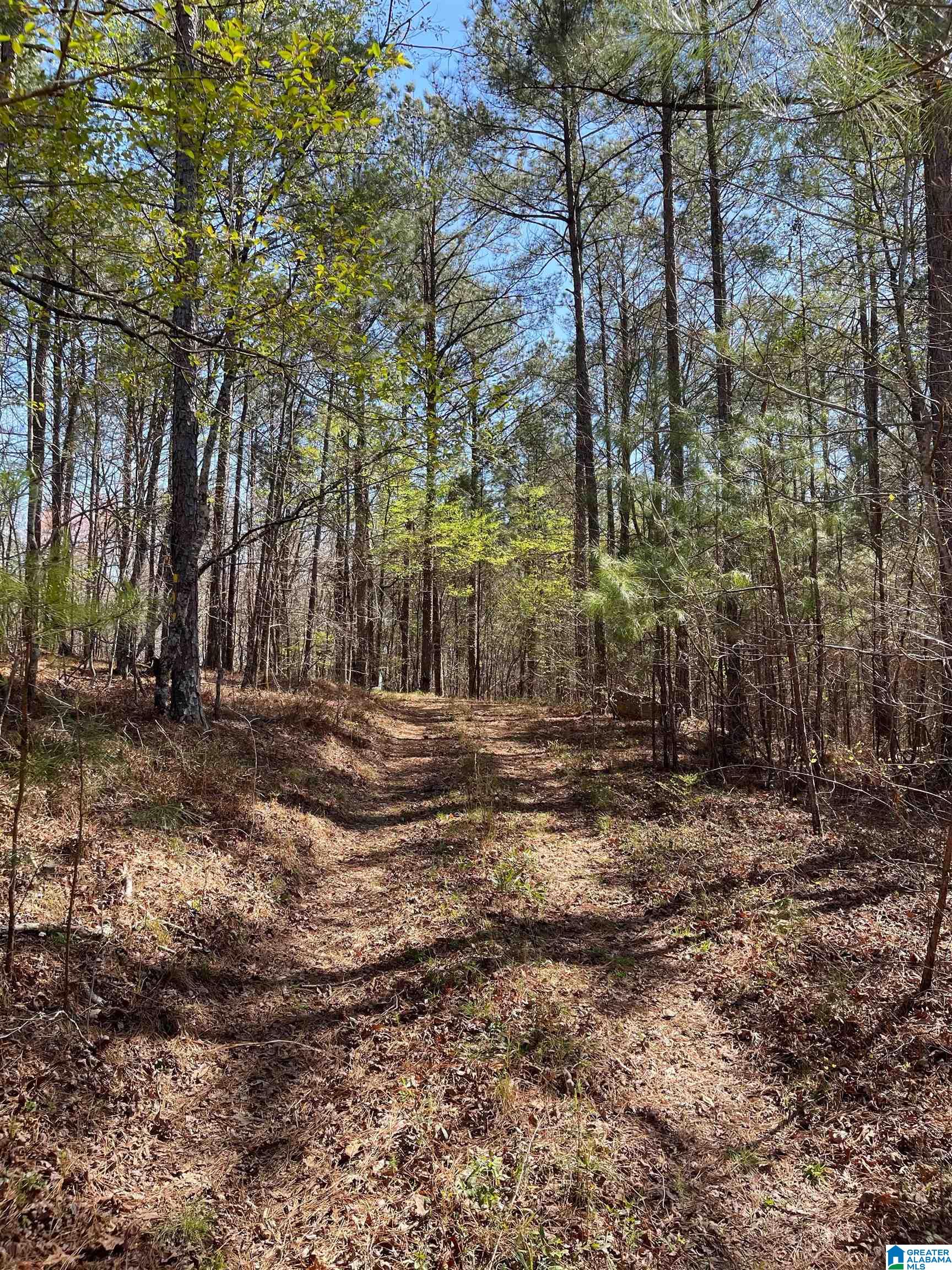 521 Sycamore Road Columbiana, AL 35051 - Photo 8 of 9
