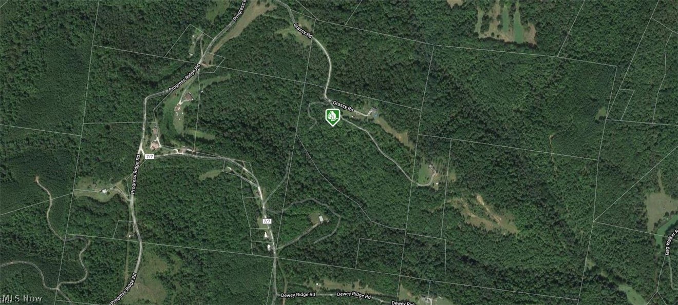 Grassy Road Walker, WV 26180 - Photo 16 of 18