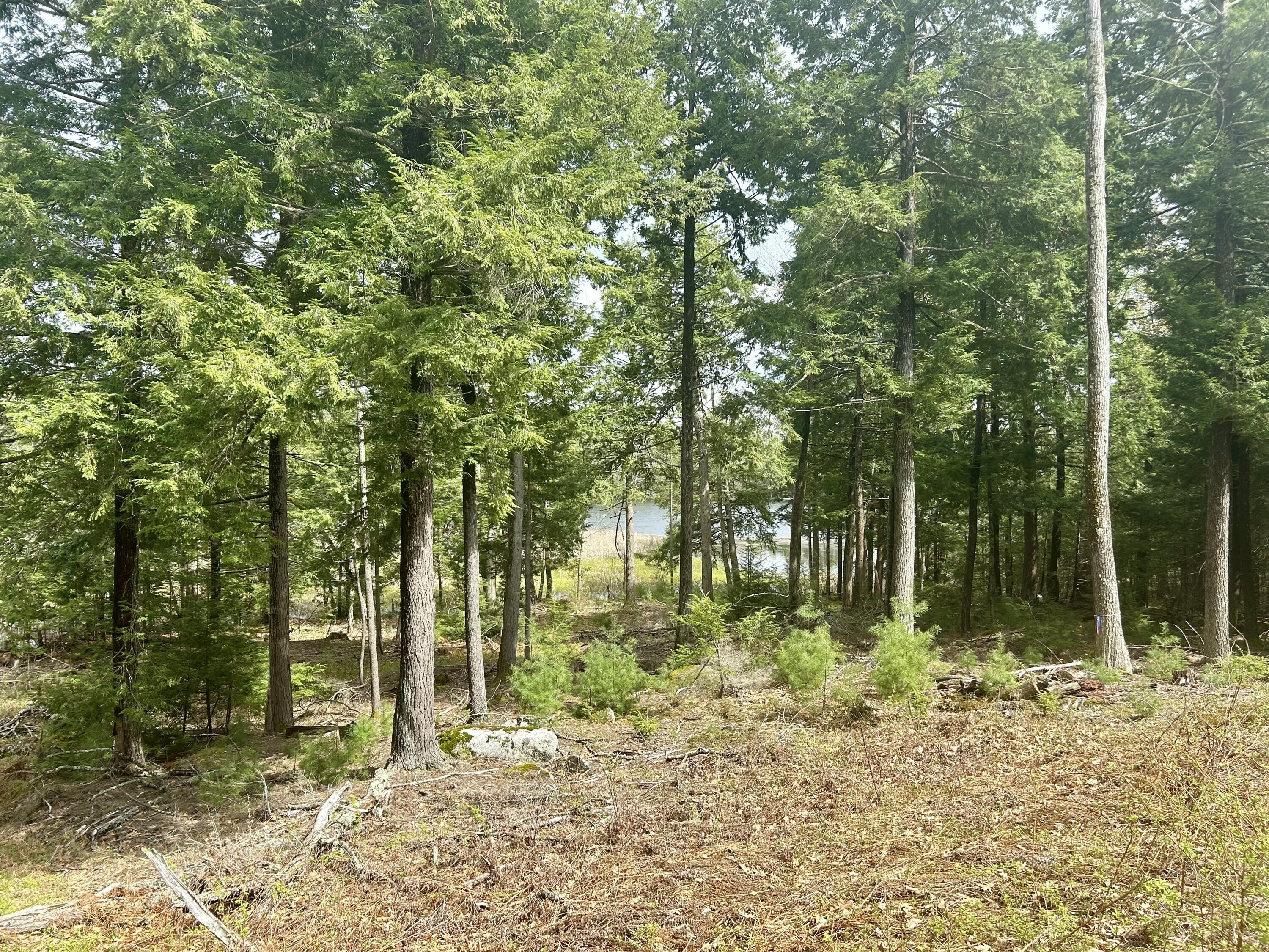 M3-l9 Winthrop Center Road Winthrop, ME 04364 - Photo 17 of 45 IMG_9051