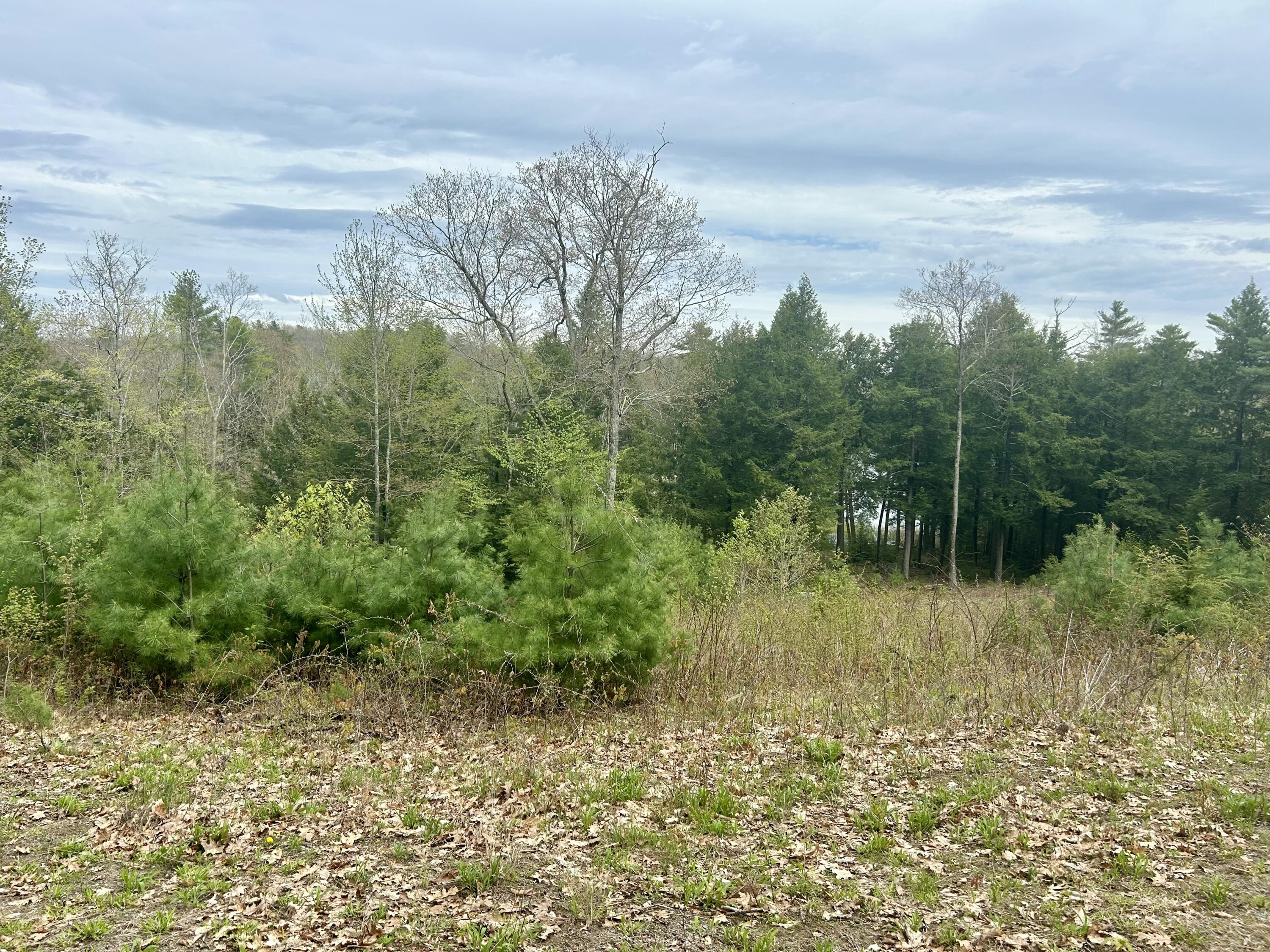 M3-l9 Winthrop Center Road Winthrop, ME 04364 - Photo 19 of 45 IMG_9045