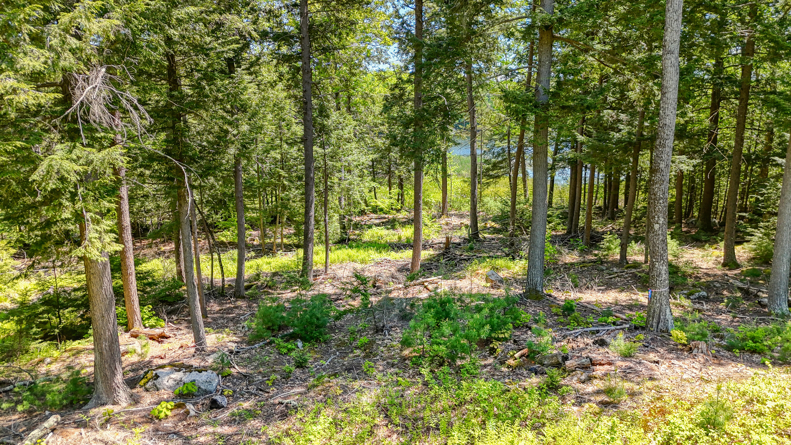 M3-l9 Winthrop Center Road Winthrop, ME 04364 - Photo 2 of 45 109987ae-123