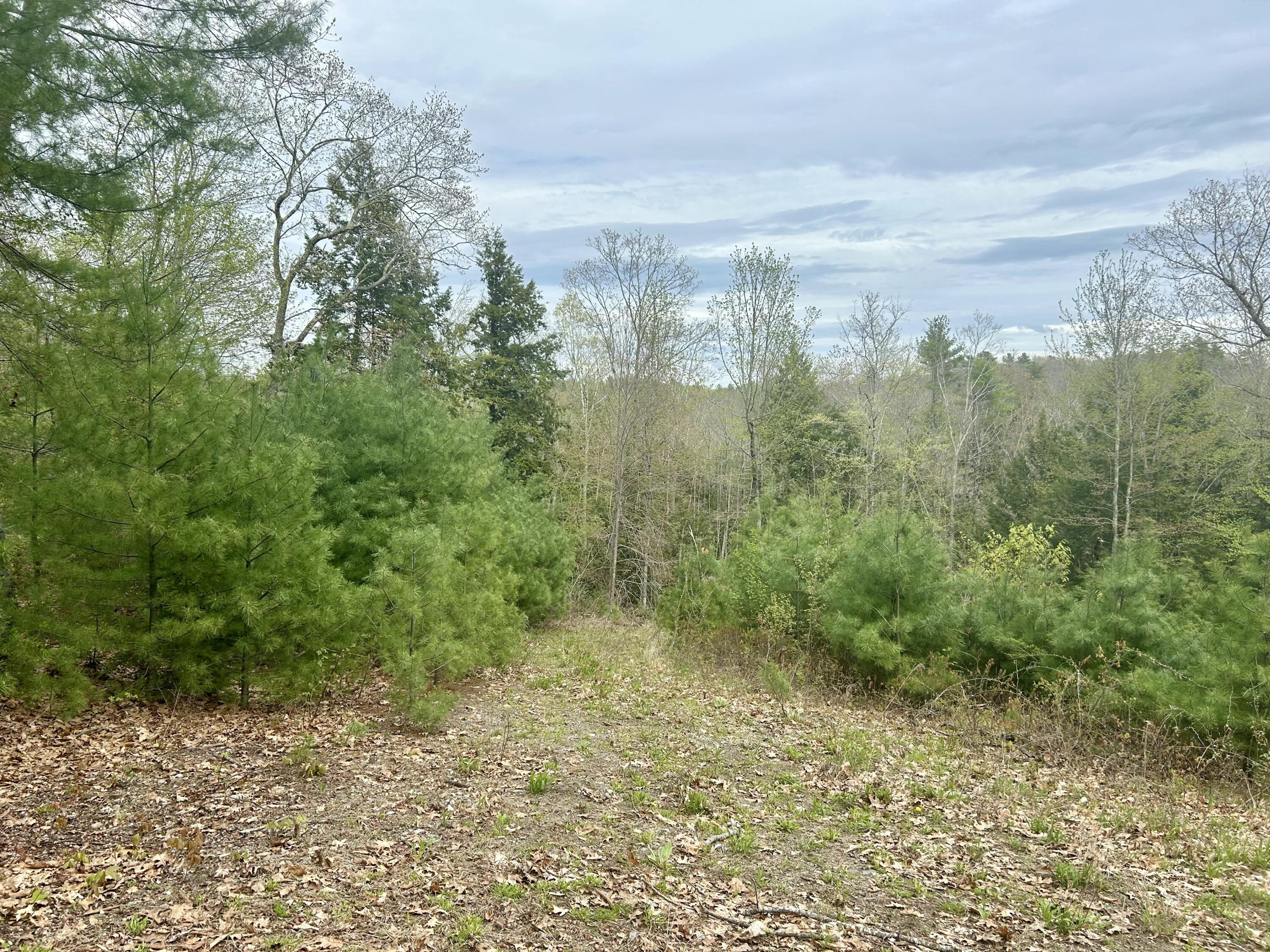 M3-l9 Winthrop Center Road Winthrop, ME 04364 - Photo 21 of 45 IMG_9044