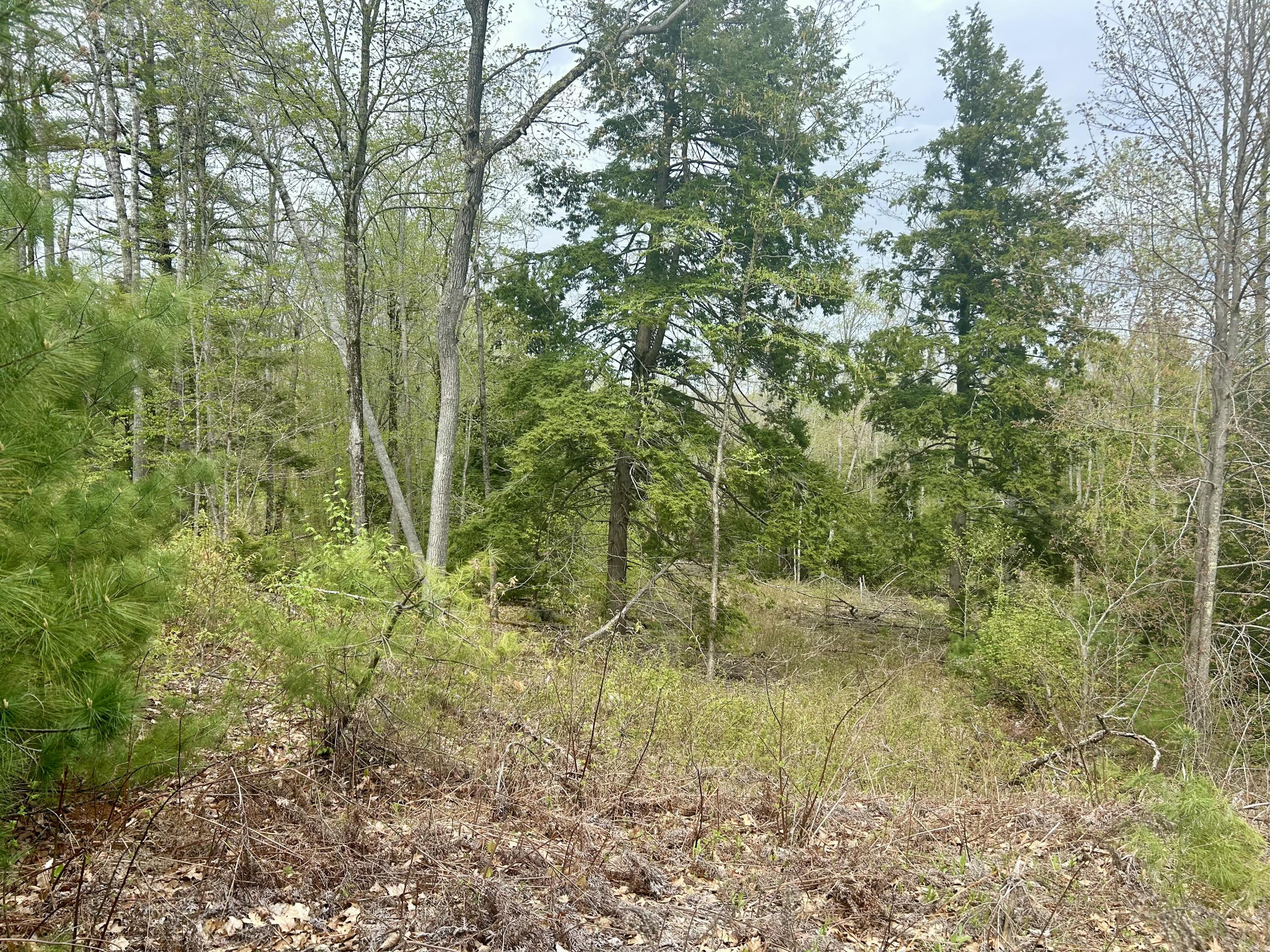 M3-l9 Winthrop Center Road Winthrop, ME 04364 - Photo 22 of 45 IMG_9046