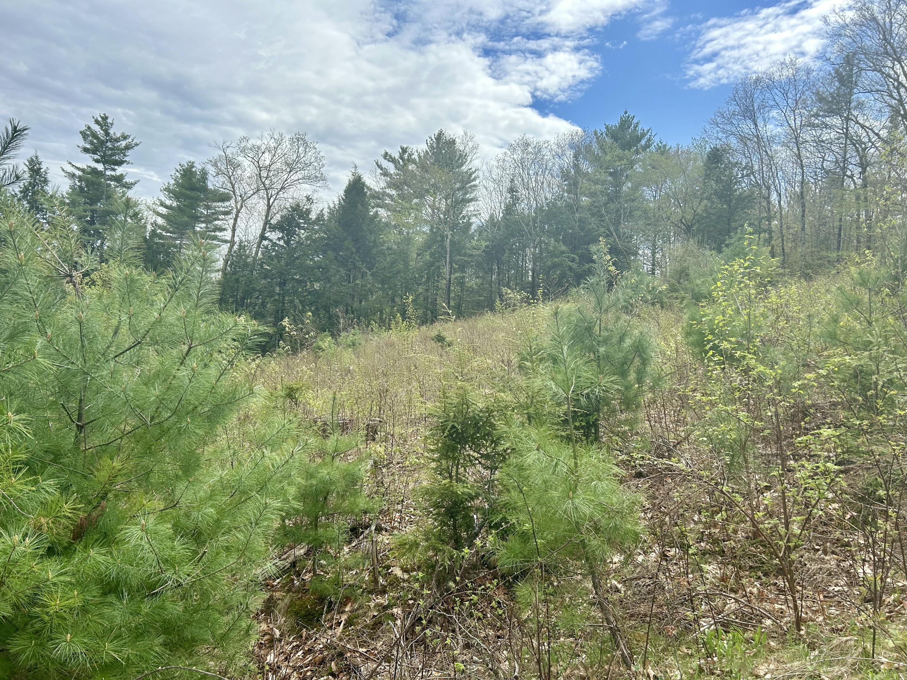 M3-l9 Winthrop Center Road Winthrop, ME 04364 - Photo 23 of 45 IMG_9047