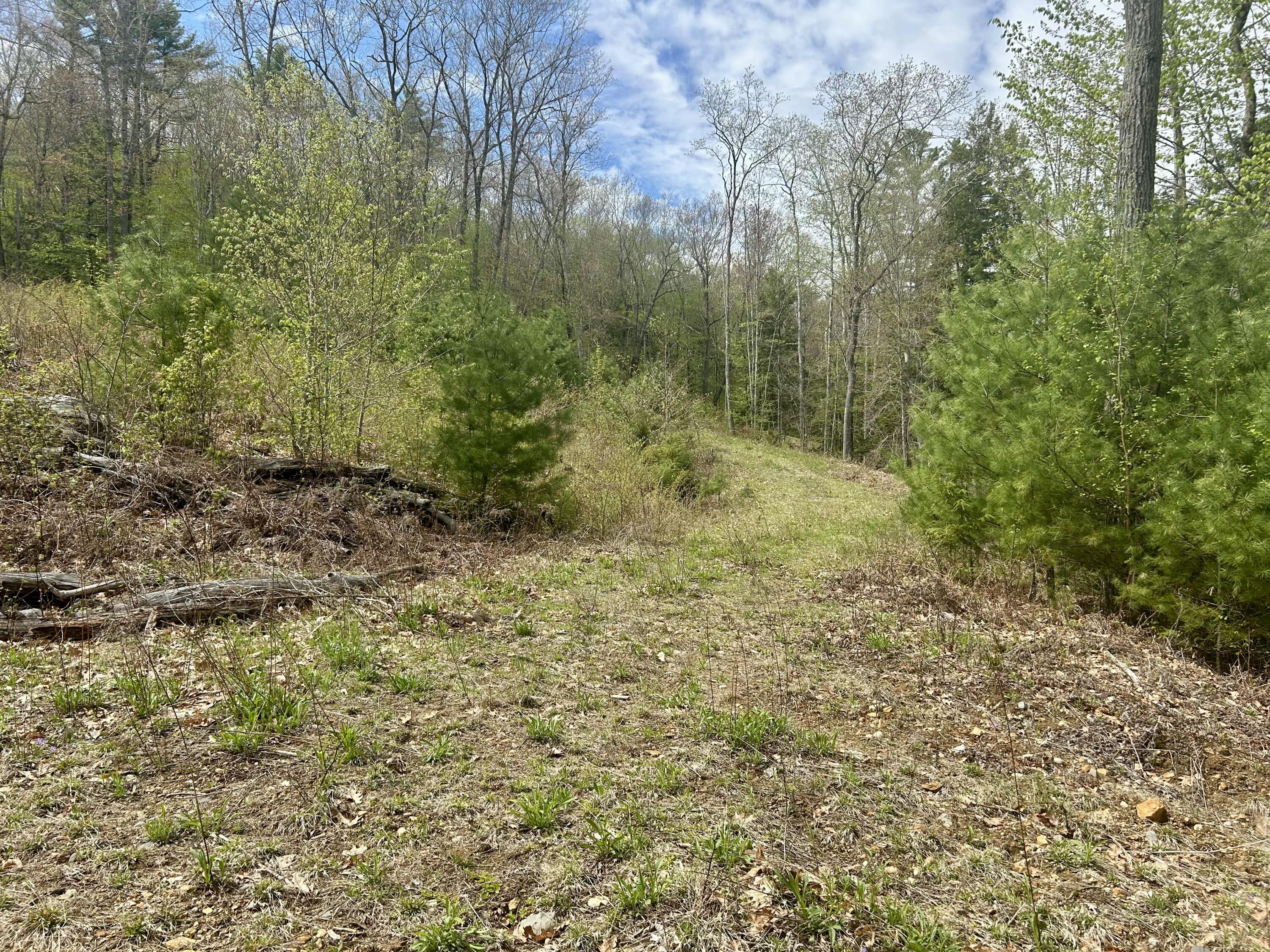 M3-l9 Winthrop Center Road Winthrop, ME 04364 - Photo 25 of 45 IMG_9050