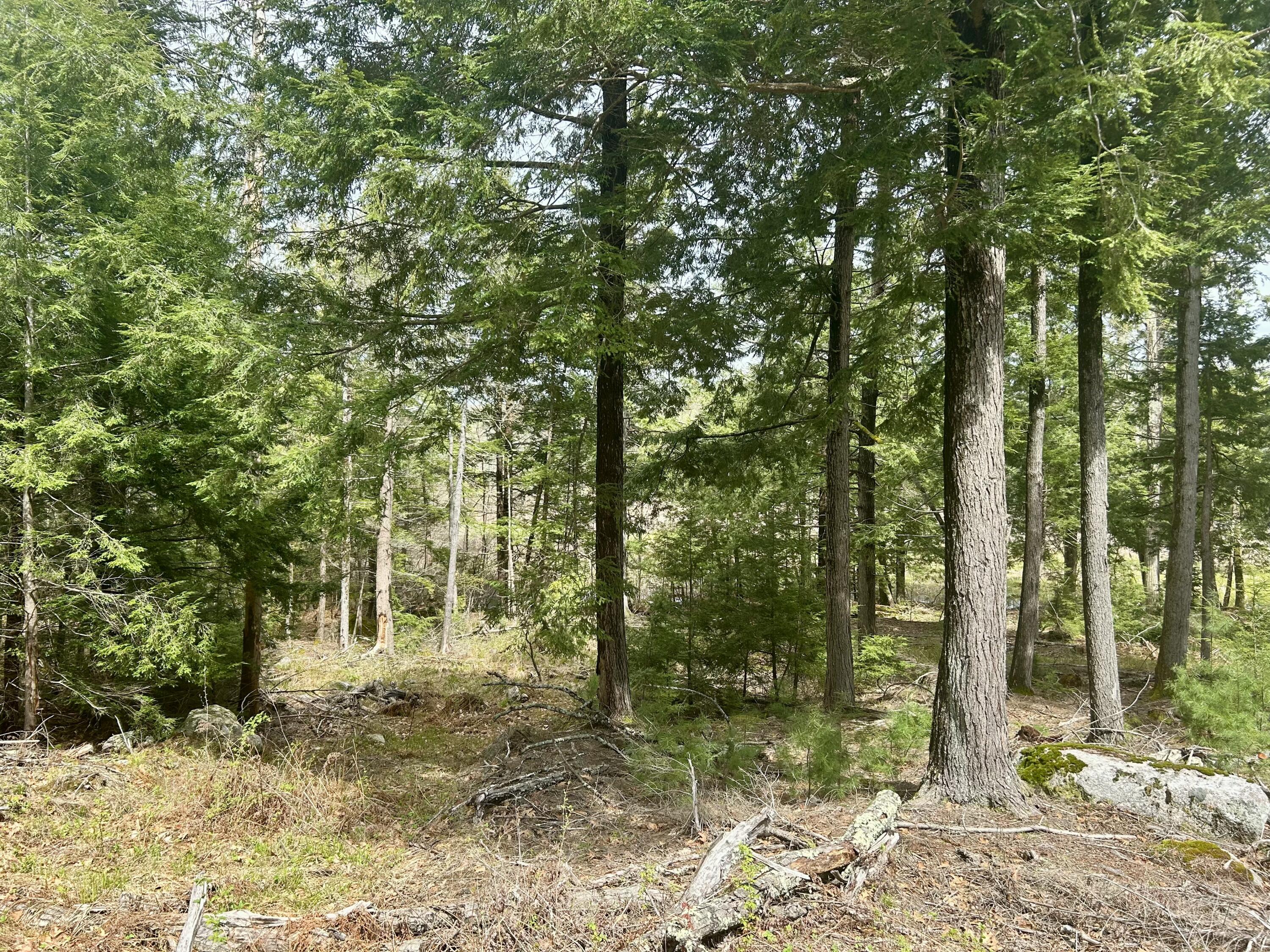 M3-l9 Winthrop Center Road Winthrop, ME 04364 - Photo 28 of 45 IMG_9053