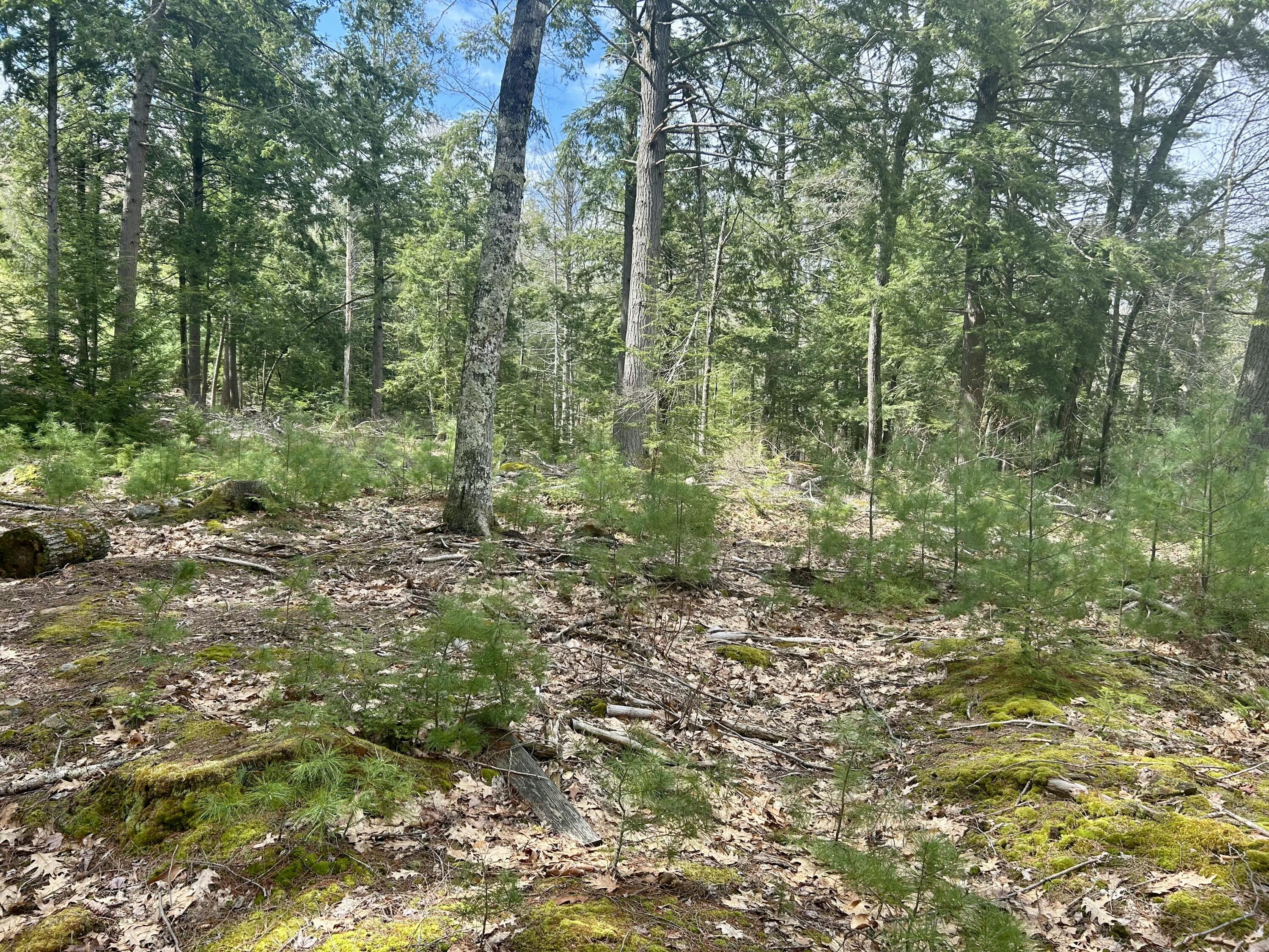 M3-l9 Winthrop Center Road Winthrop, ME 04364 - Photo 29 of 45 IMG_9057