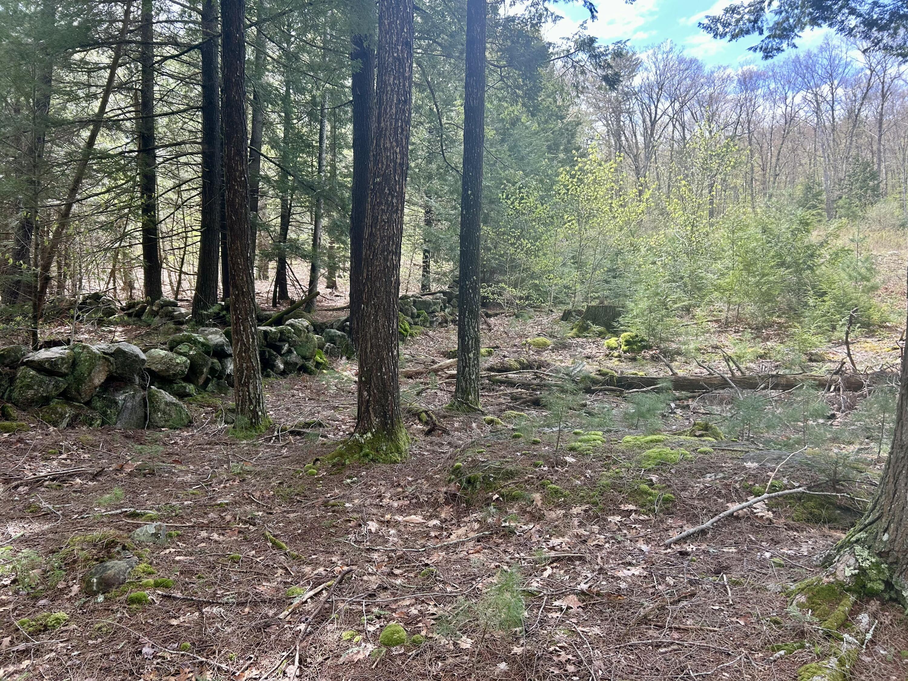 M3-l9 Winthrop Center Road Winthrop, ME 04364 - Photo 30 of 45 IMG_9054