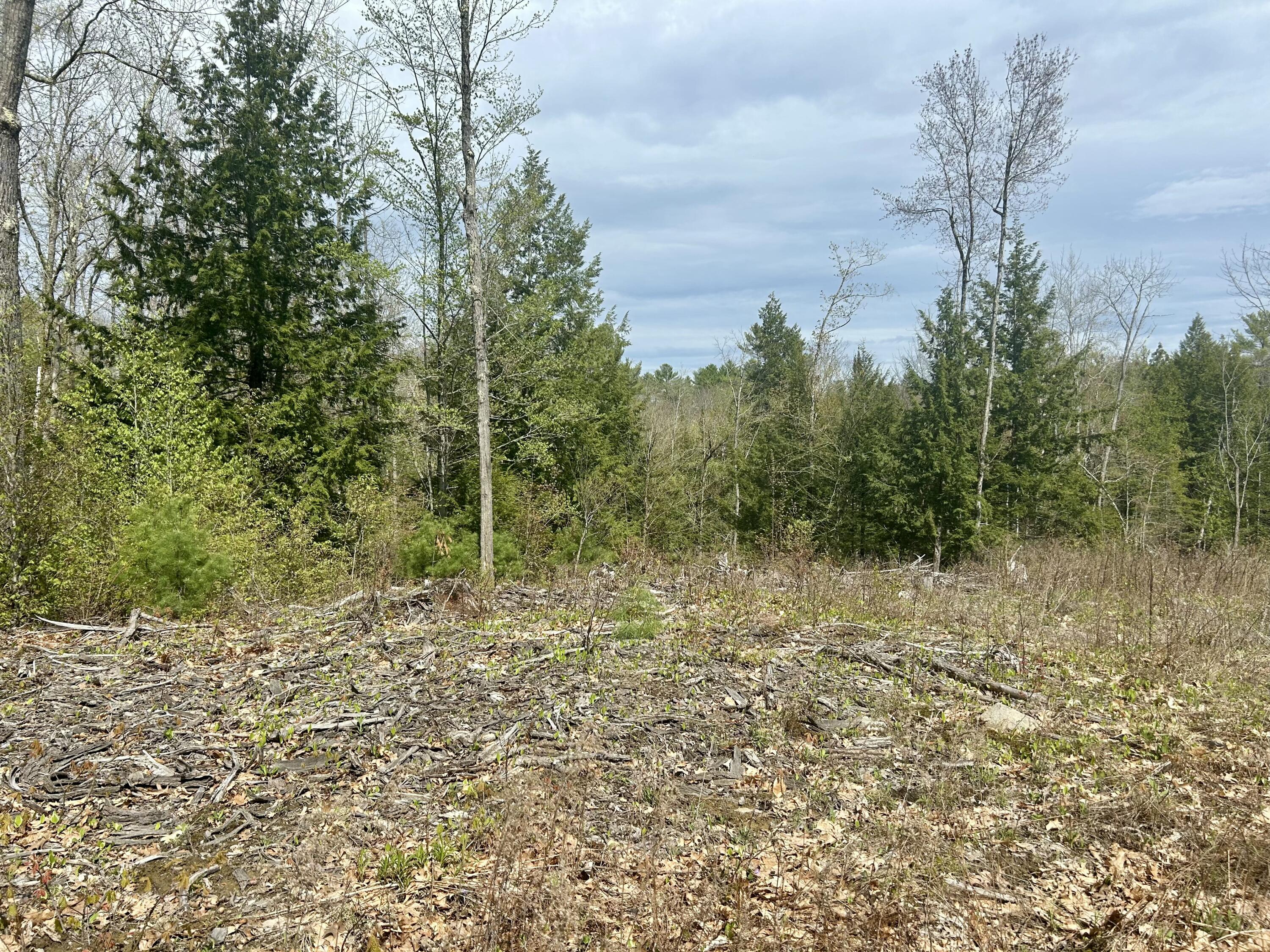 M3-l9 Winthrop Center Road Winthrop, ME 04364 - Photo 39 of 45 IMG_9066