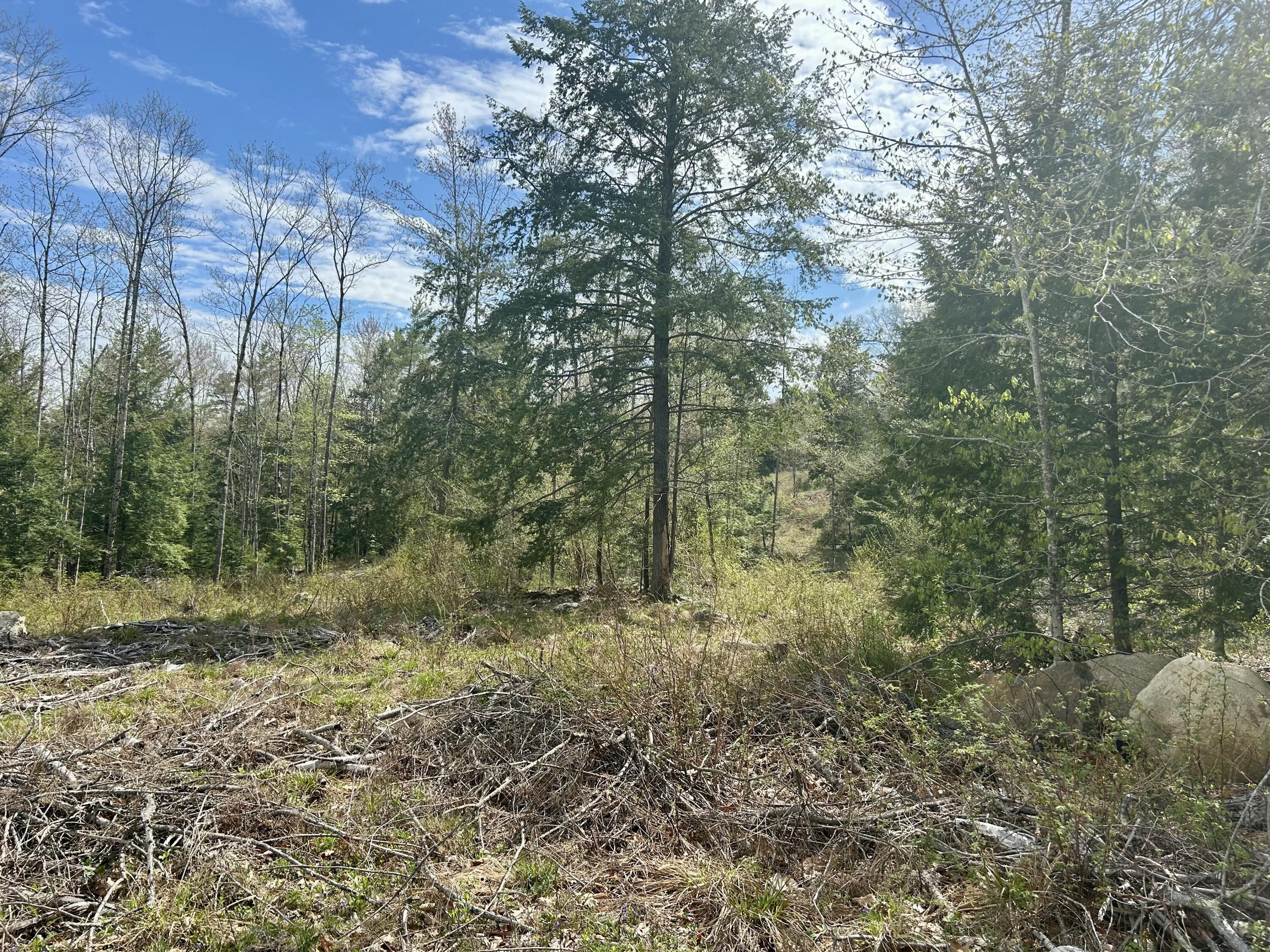 M3-l9 Winthrop Center Road Winthrop, ME 04364 - Photo 41 of 45 IMG_9068