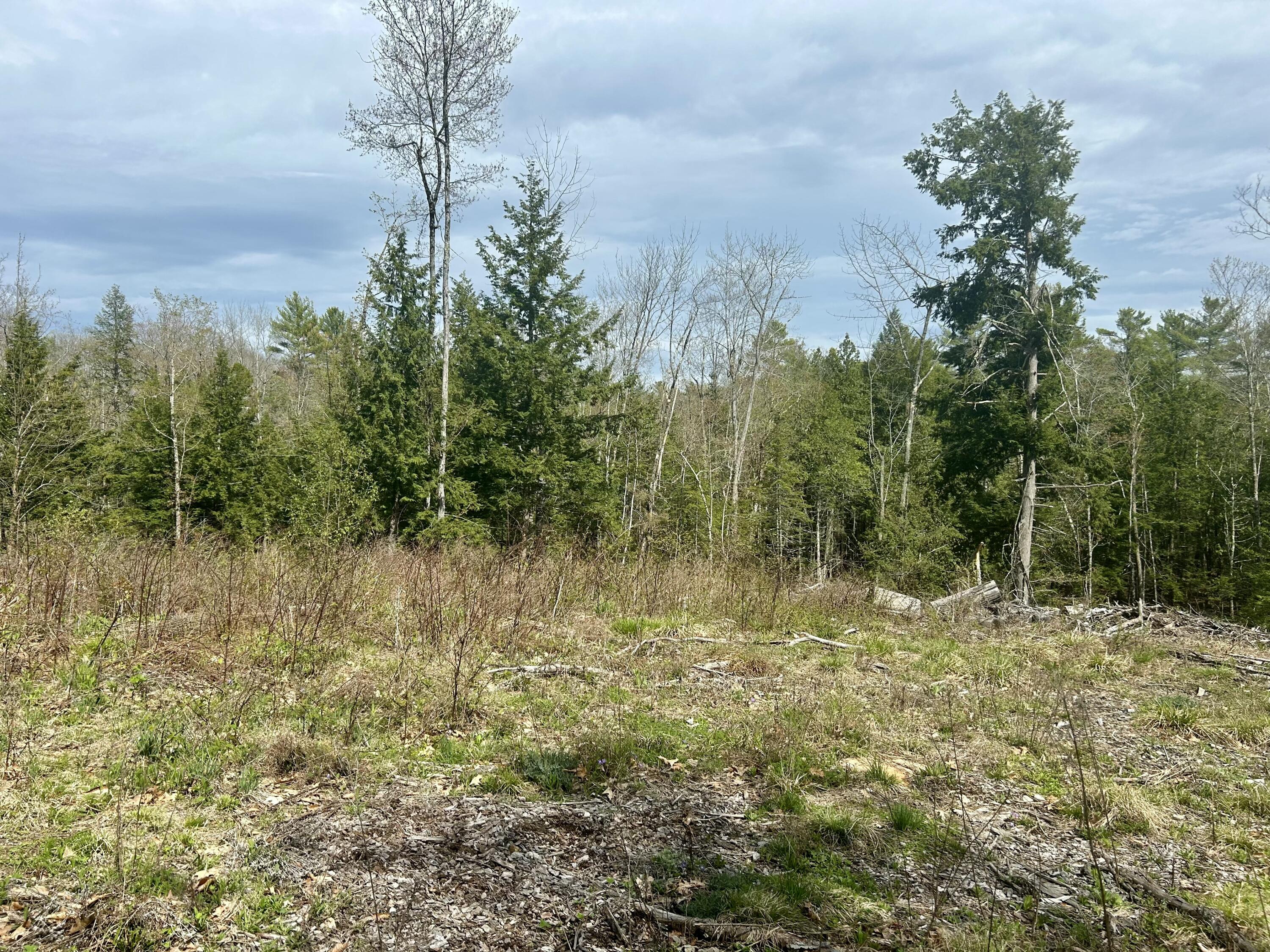 M3-l9 Winthrop Center Road Winthrop, ME 04364 - Photo 42 of 45 IMG_9069