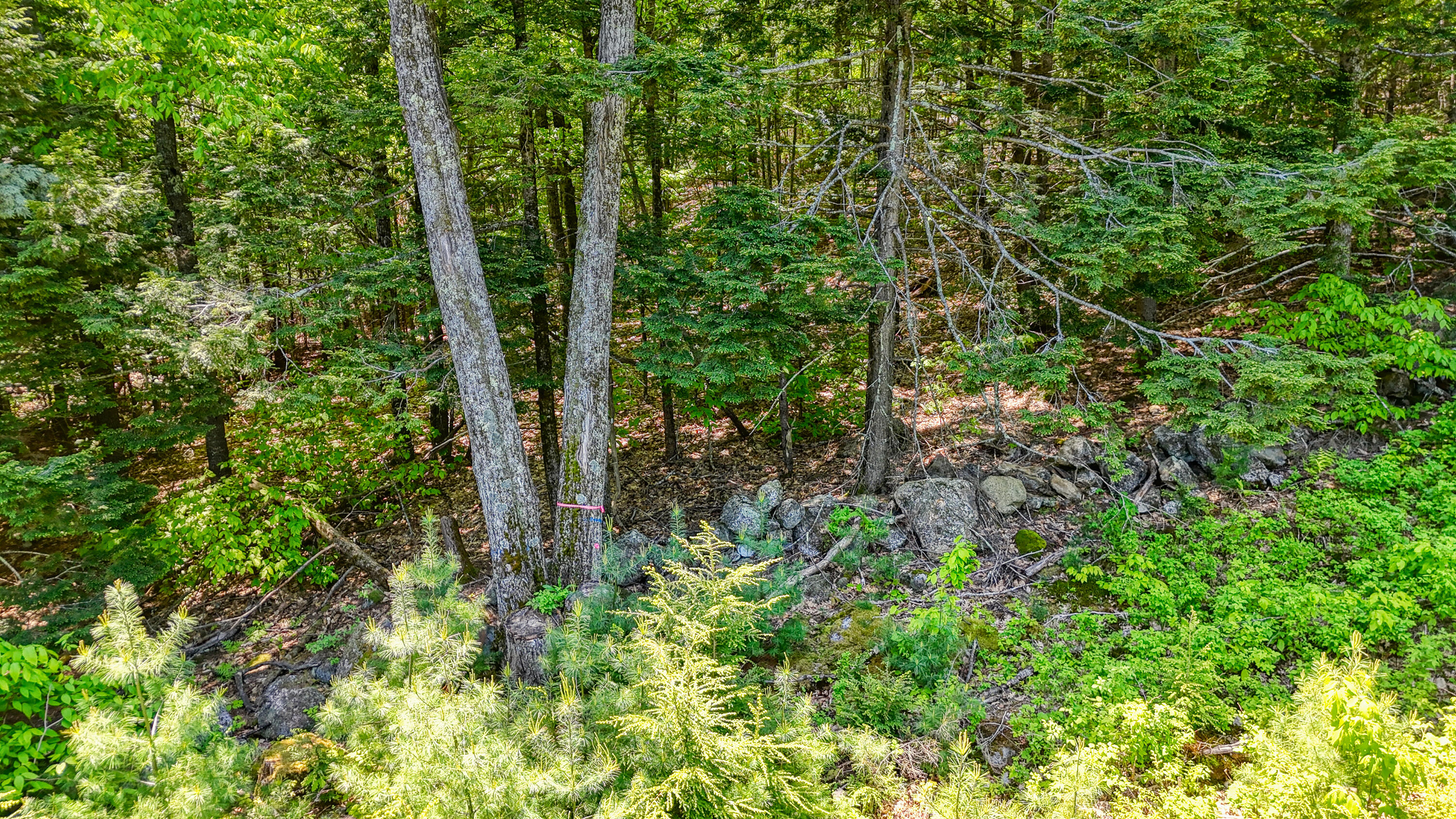 M3-l9 Winthrop Center Road Winthrop, ME 04364 - Photo 5 of 45 109987ae-125