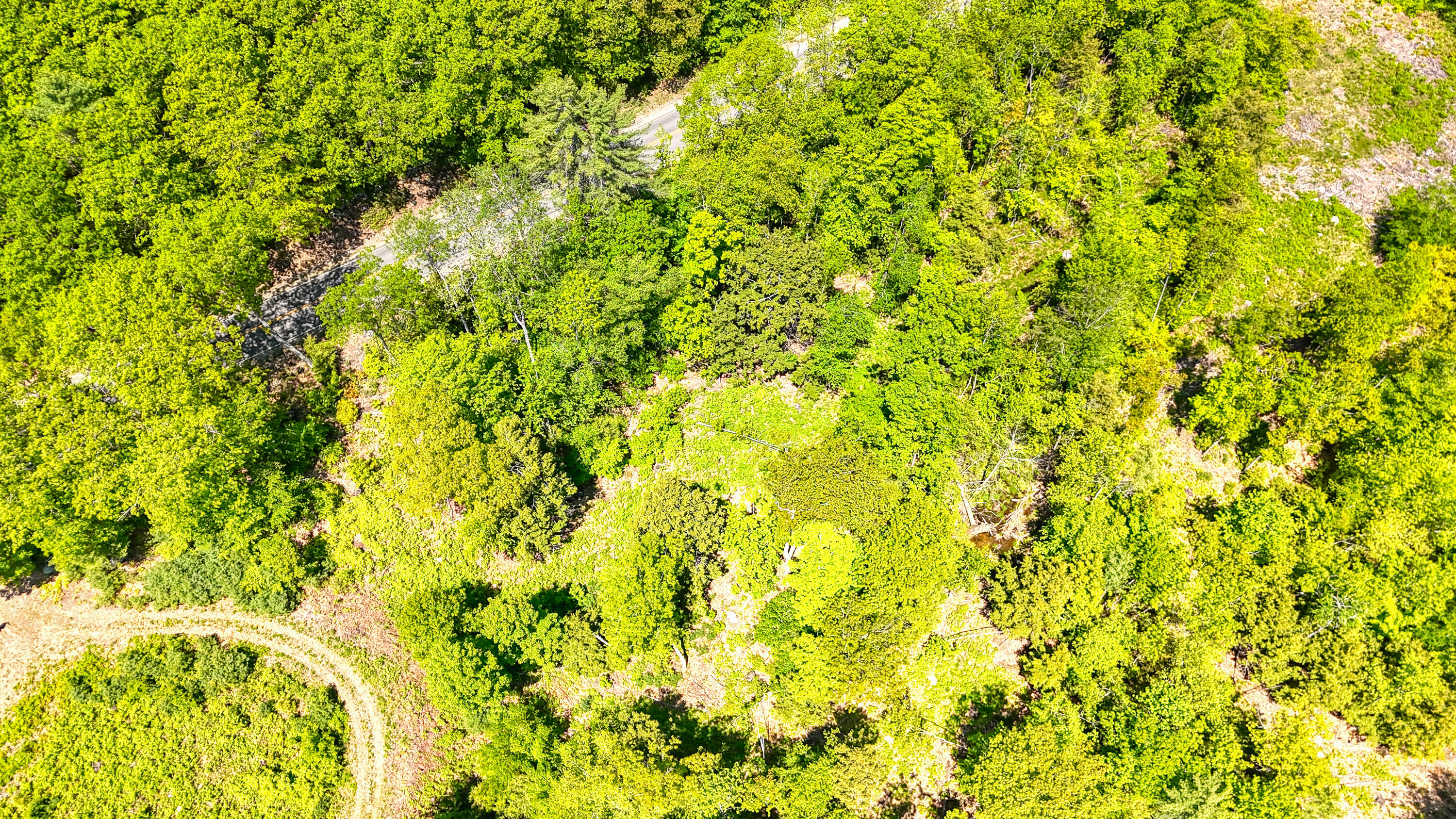 M3-l9 Winthrop Center Road Winthrop, ME 04364 - Photo 6 of 45 109987ae-117