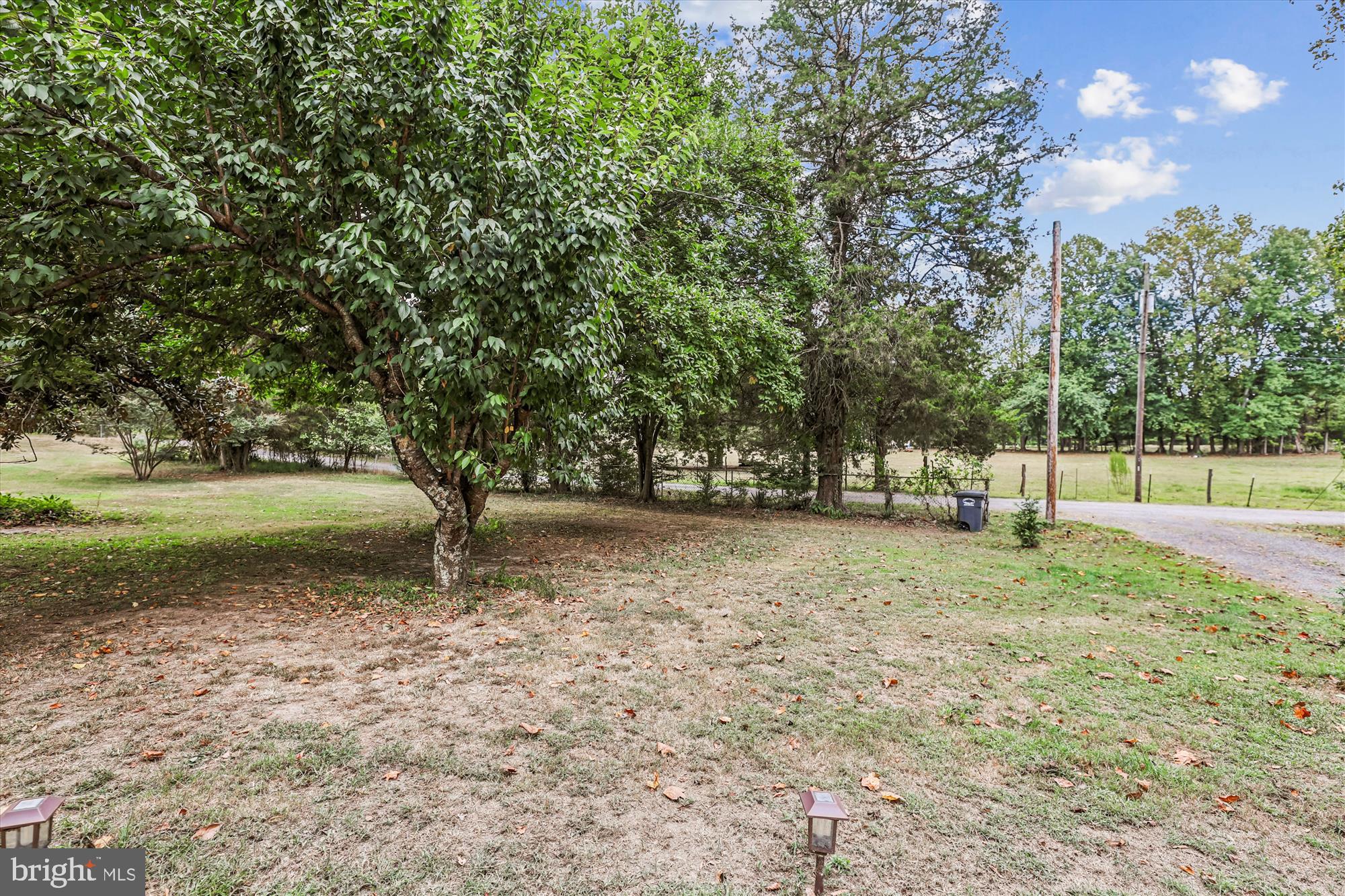 8311 Cedarville Road Brandywine, MD 20613 - Photo 9 of 31 Front Yard