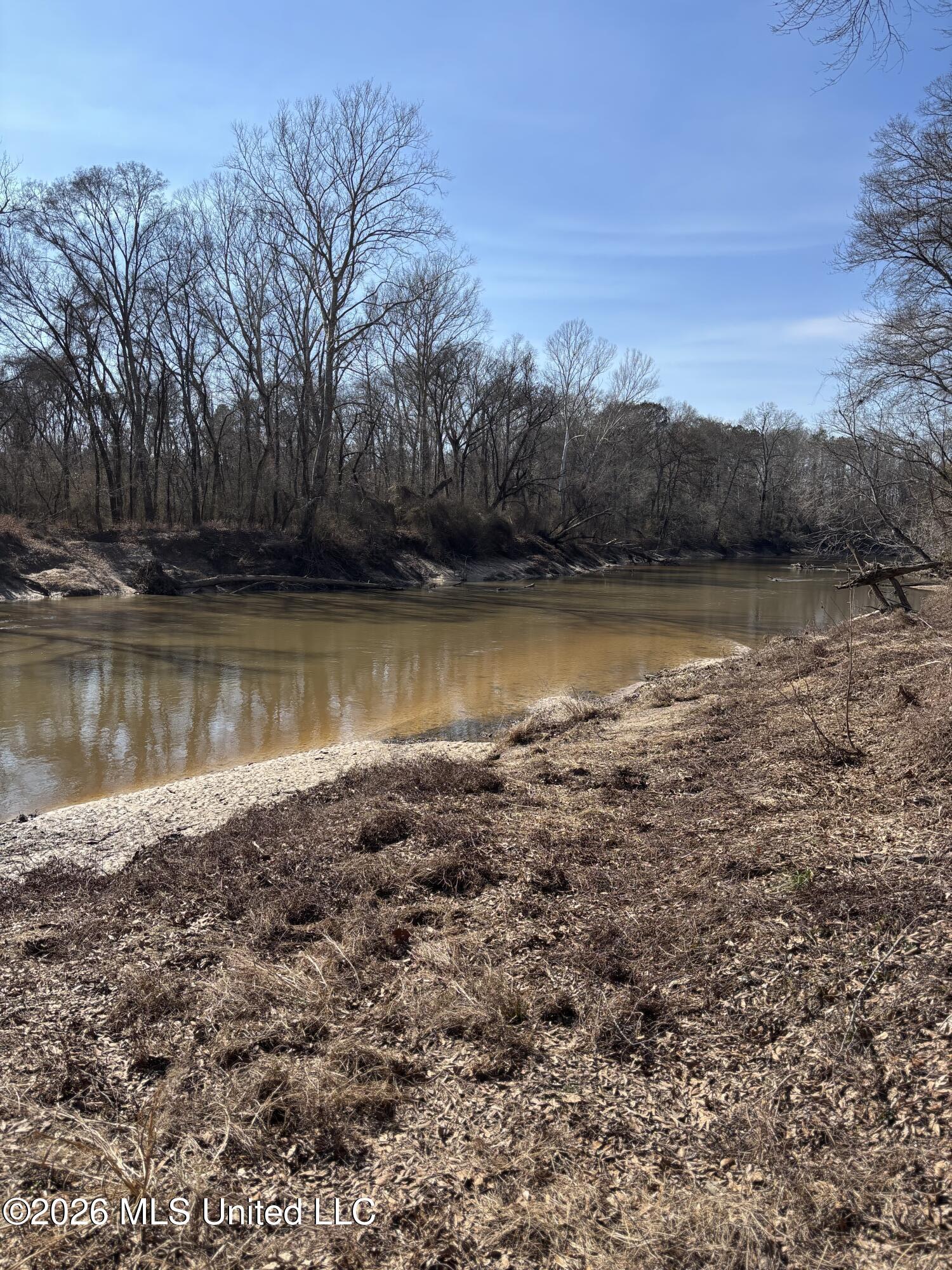 Lee Bass Road Pinola, MS 39149 - Photo 9 of 14 IMG_3481