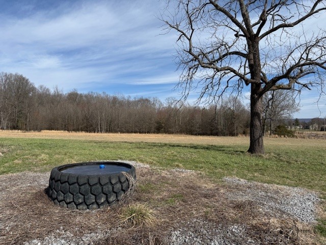 2100 Beacon Light Road Morrison, TN 37357 - Photo 14 of 36 a view of a yard