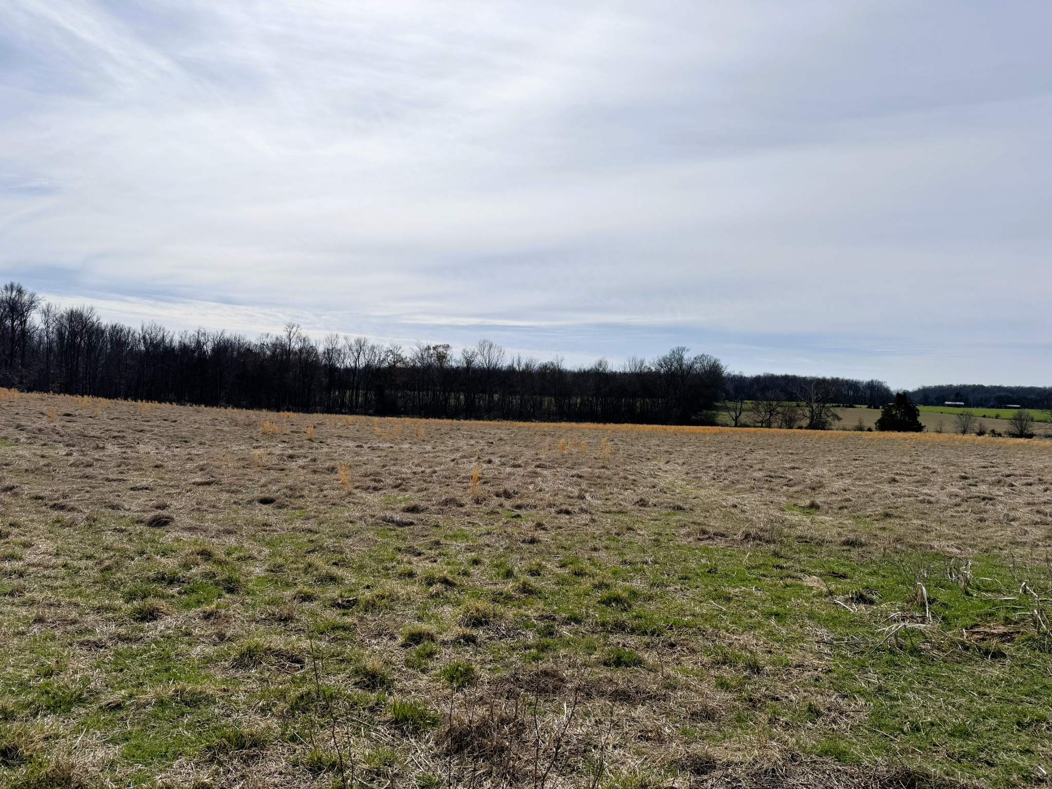 2100 Beacon Light Road Morrison, TN 37357 - Photo 31 of 36 a view of lake