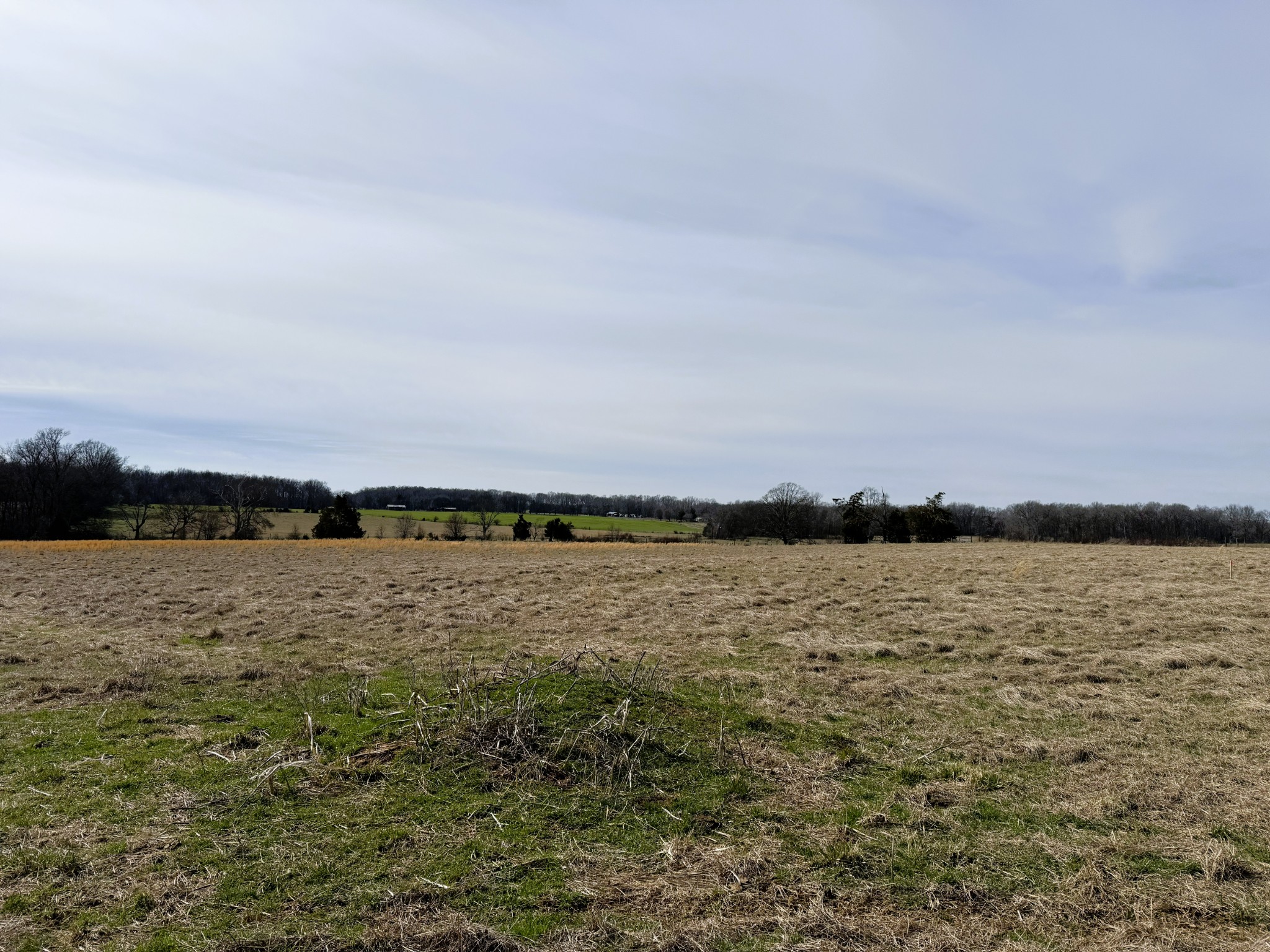 2100 Beacon Light Road Morrison, TN 37357 - Photo 32 of 36